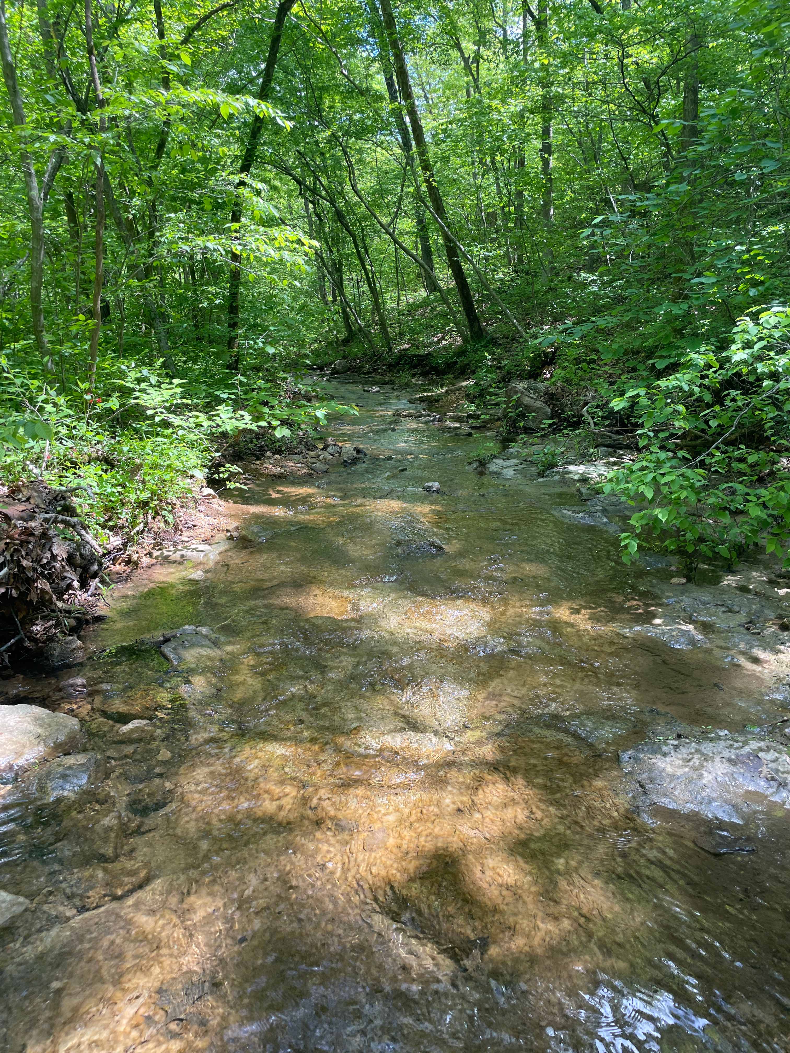 Crooked Creek Ranch