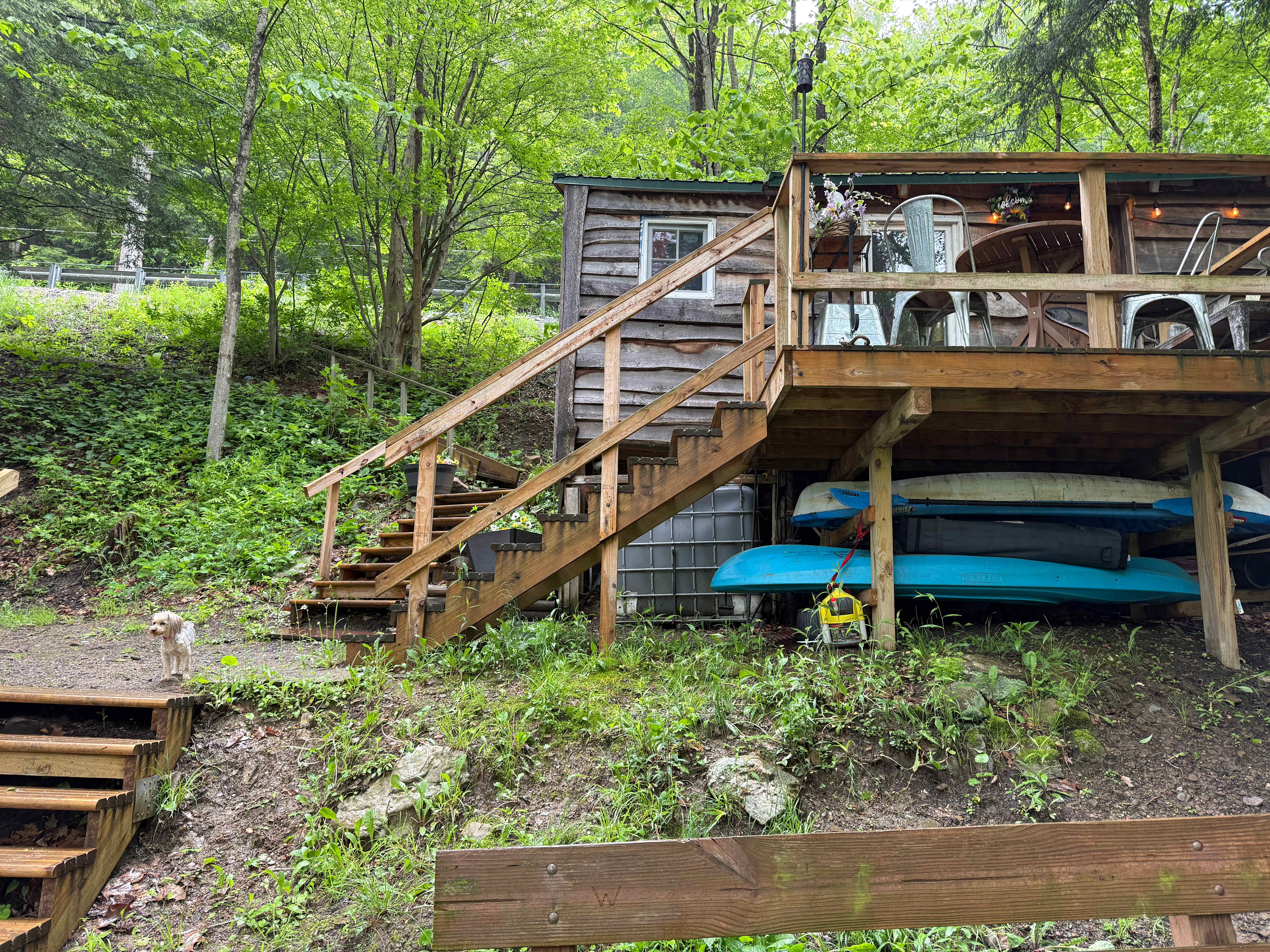 The Nest - Creekfront Cabin In ANF