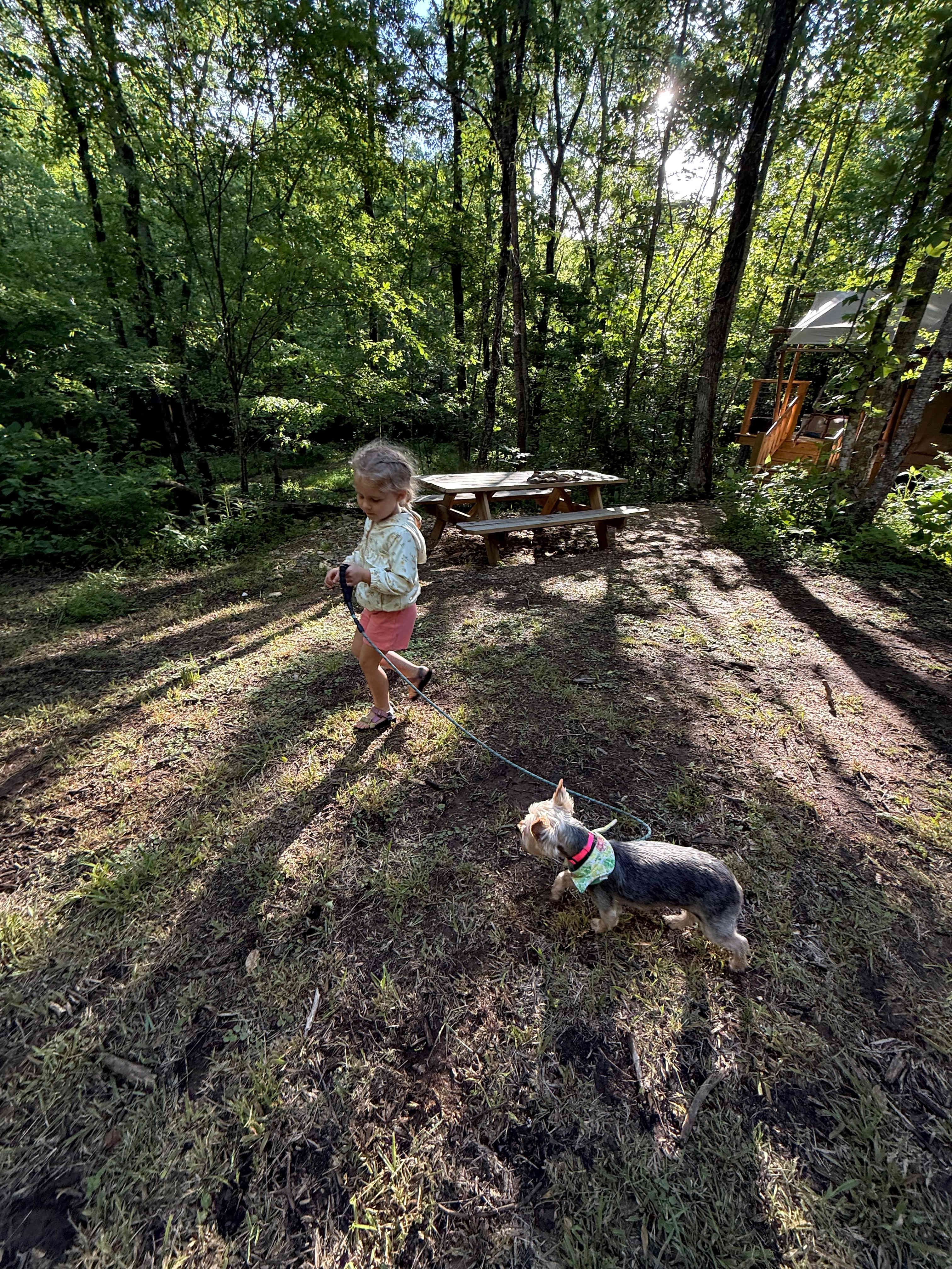 TangleWood Creekside Campsites
