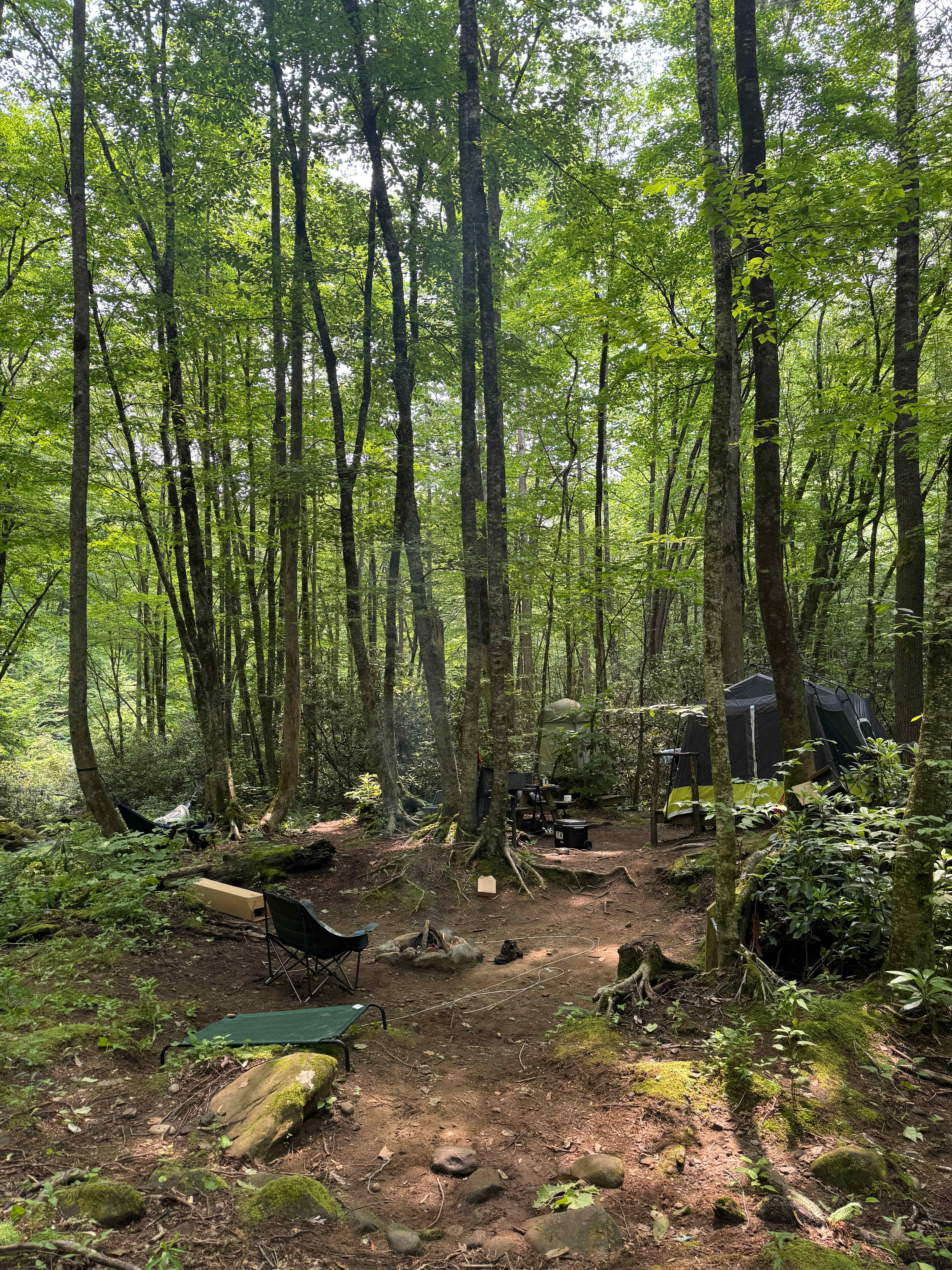 Mountain Creek Rest