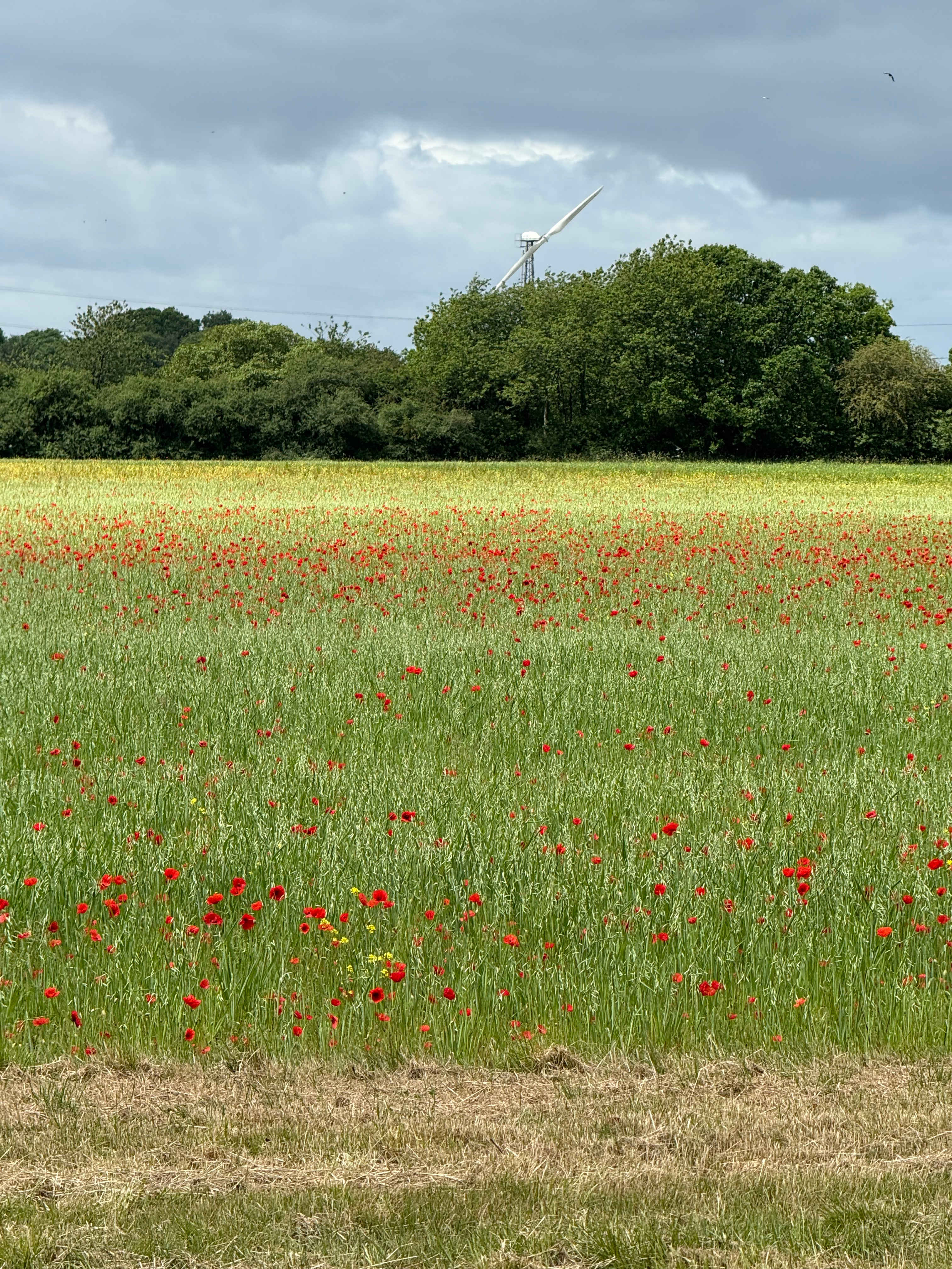 Abbey Home Farm