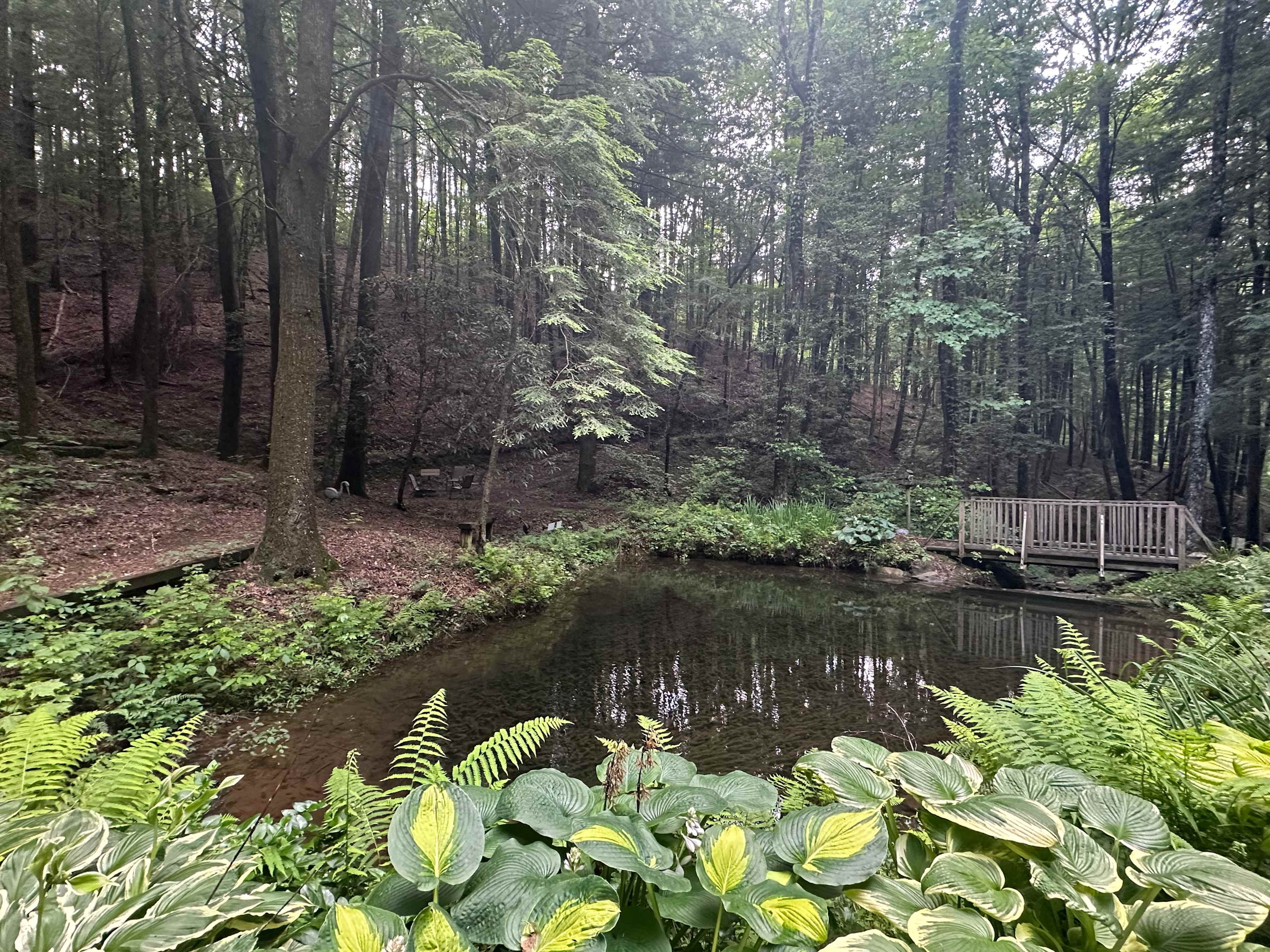 Mulberry Gap - Camping & Van Stays