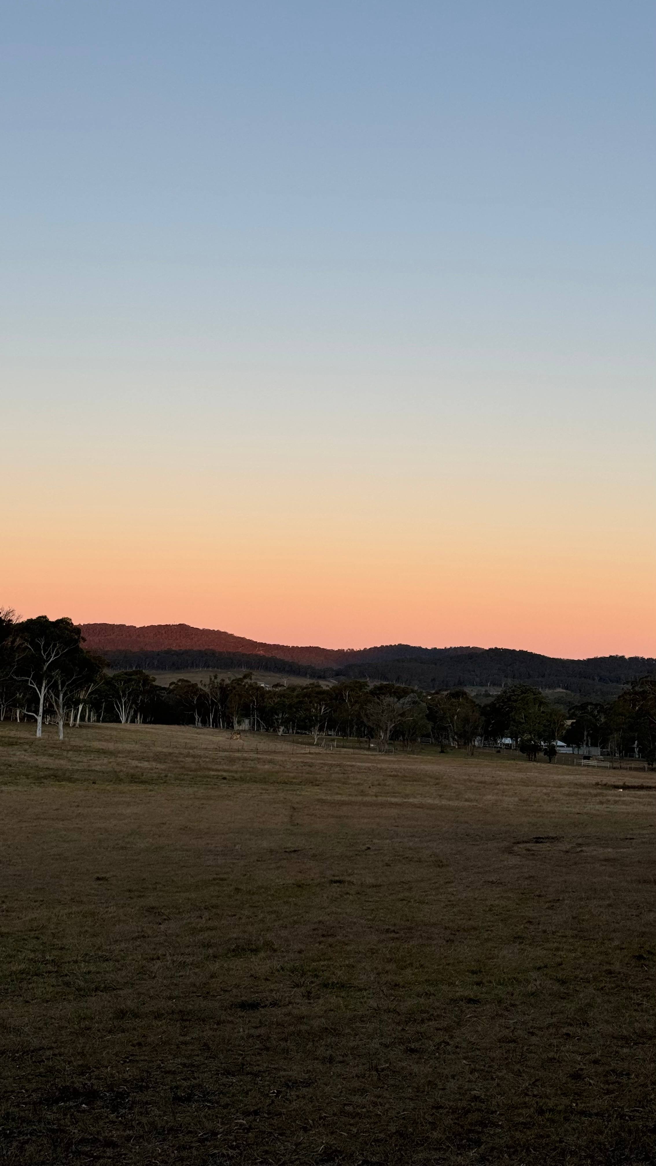 Buenpaso - good step