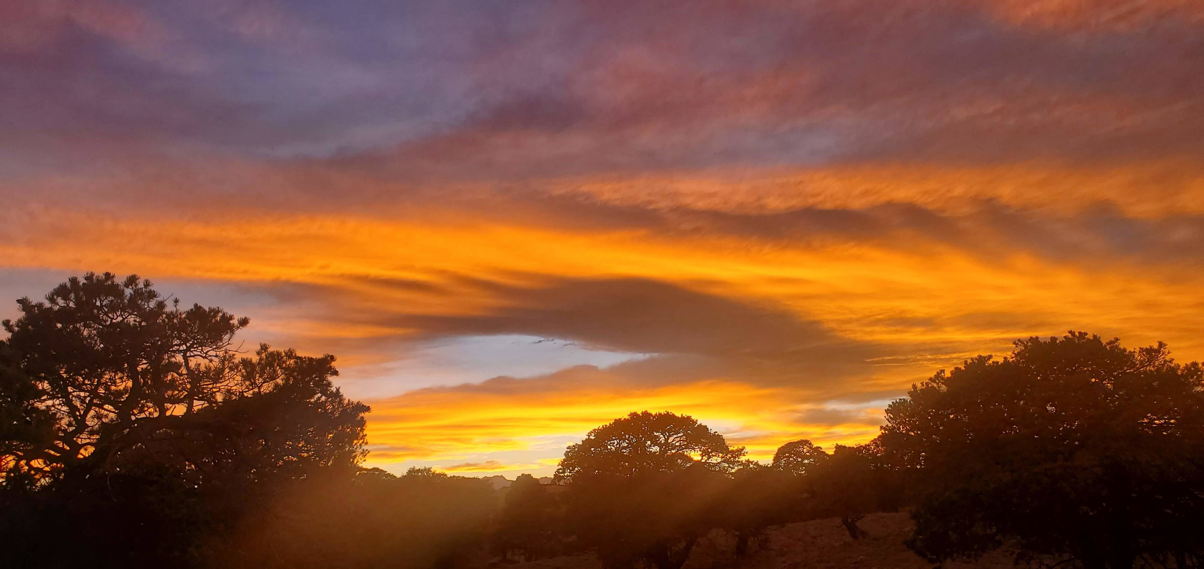 The Nomad Ranch