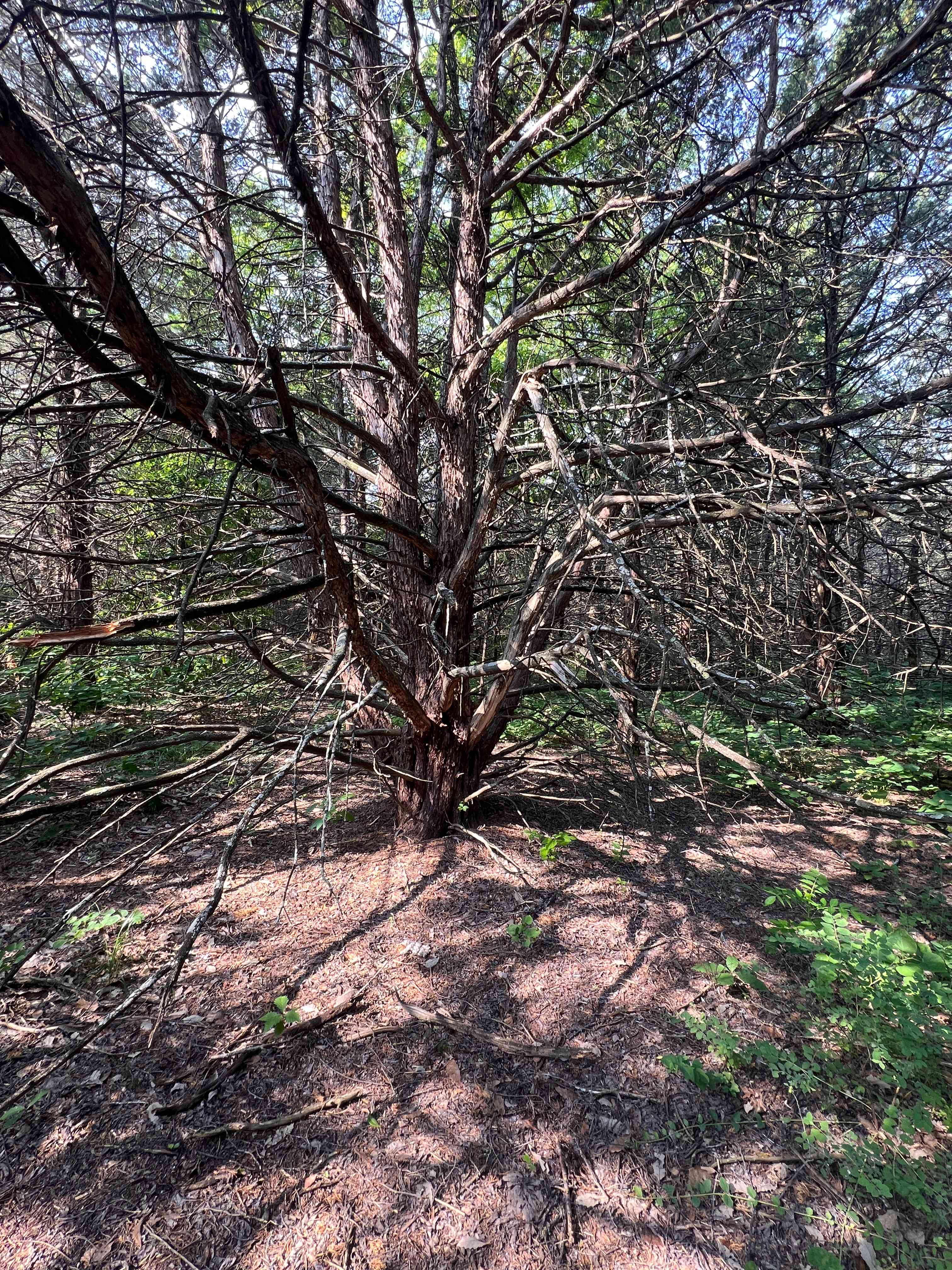 Blackthorn Retreat