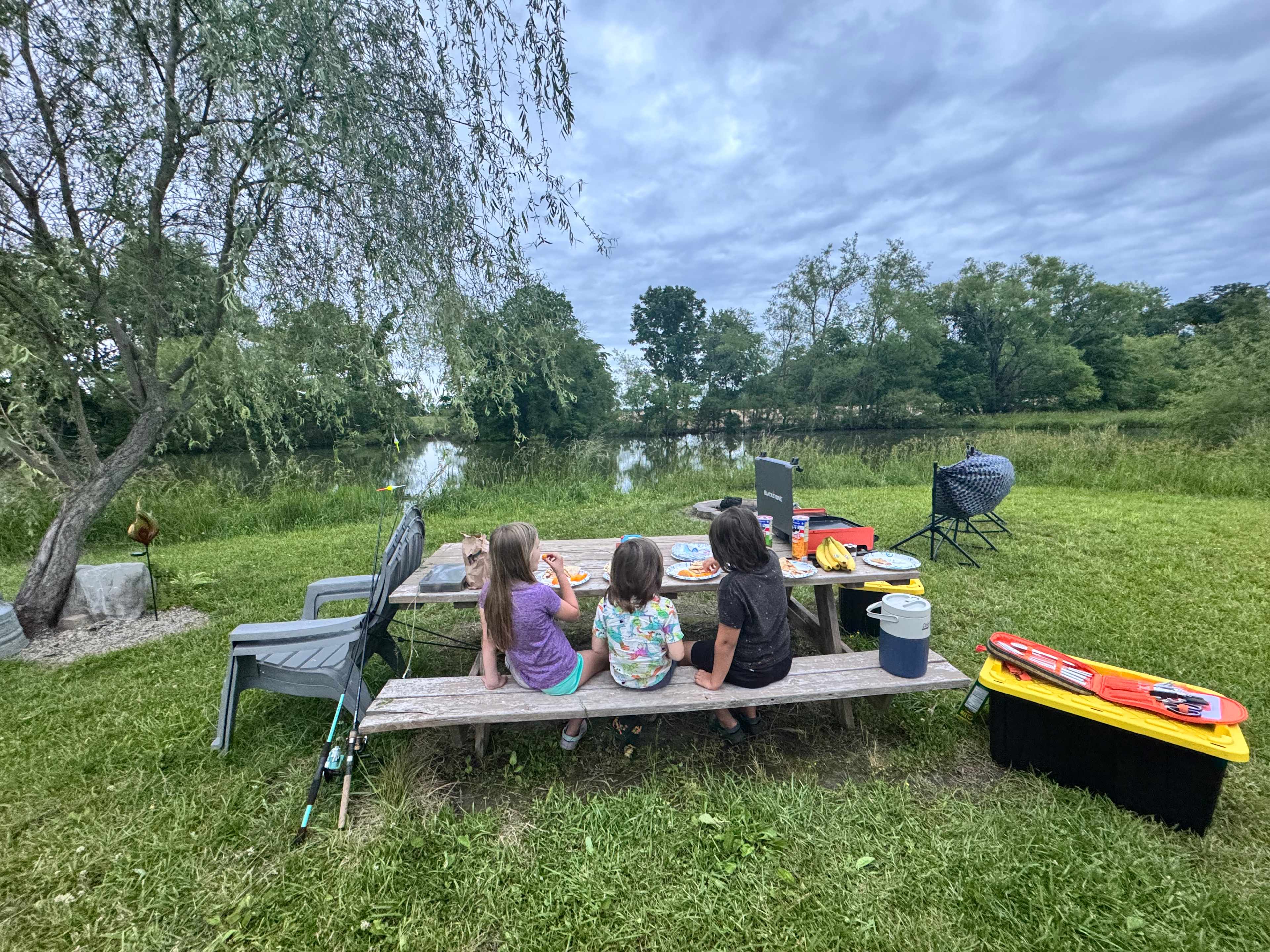 Willow Pond