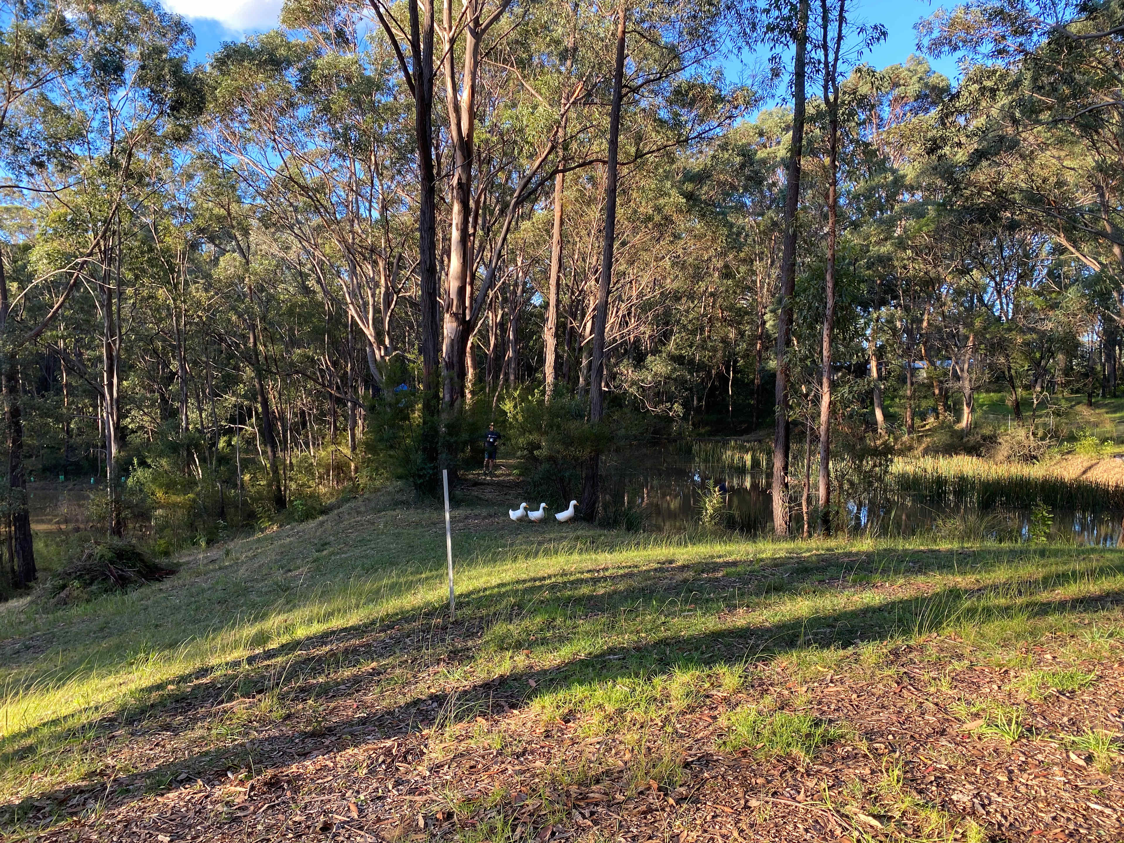 Walking around the property