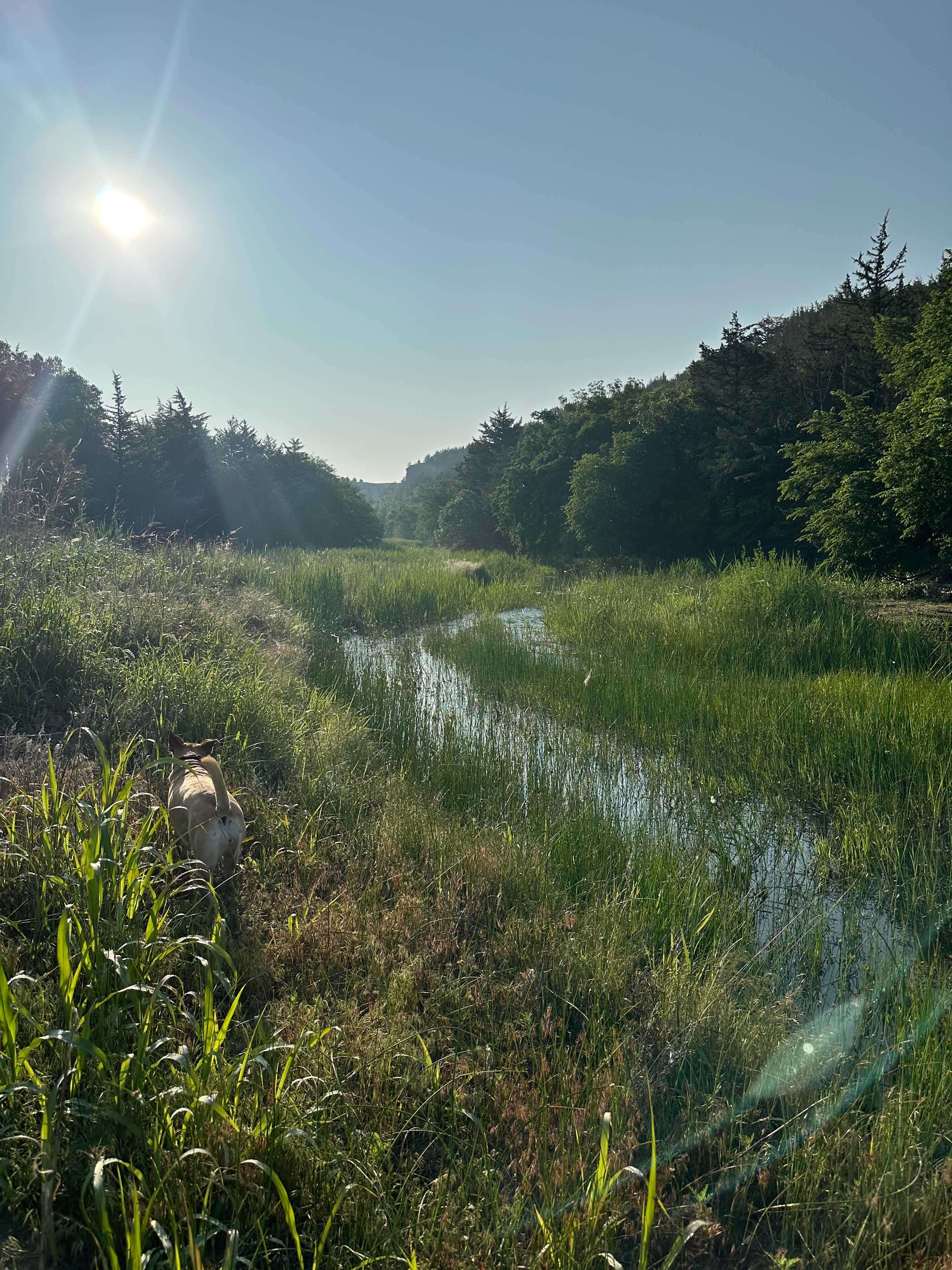 C2T Ranch on the Saline River