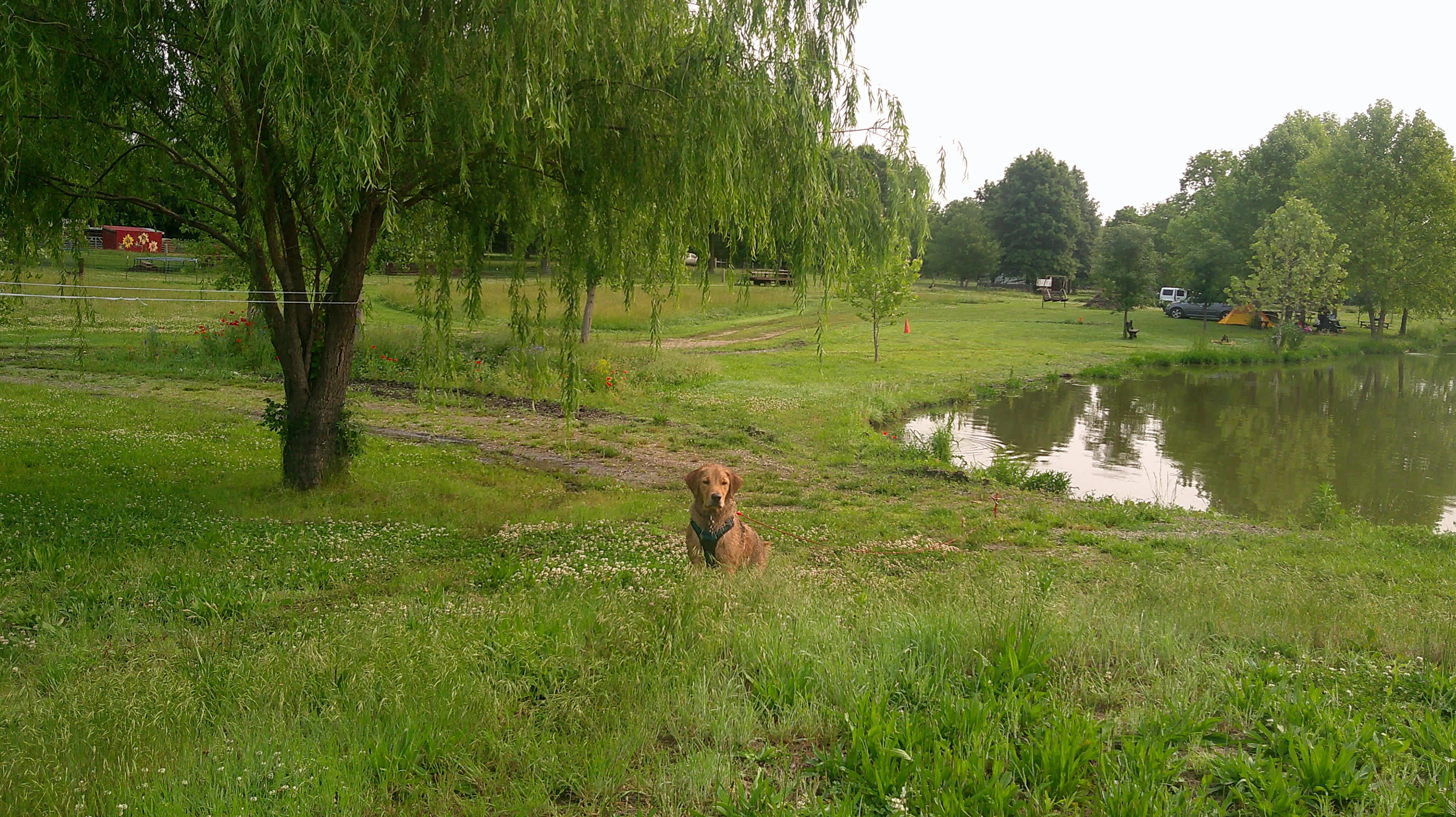 Lake Georgia-Sue