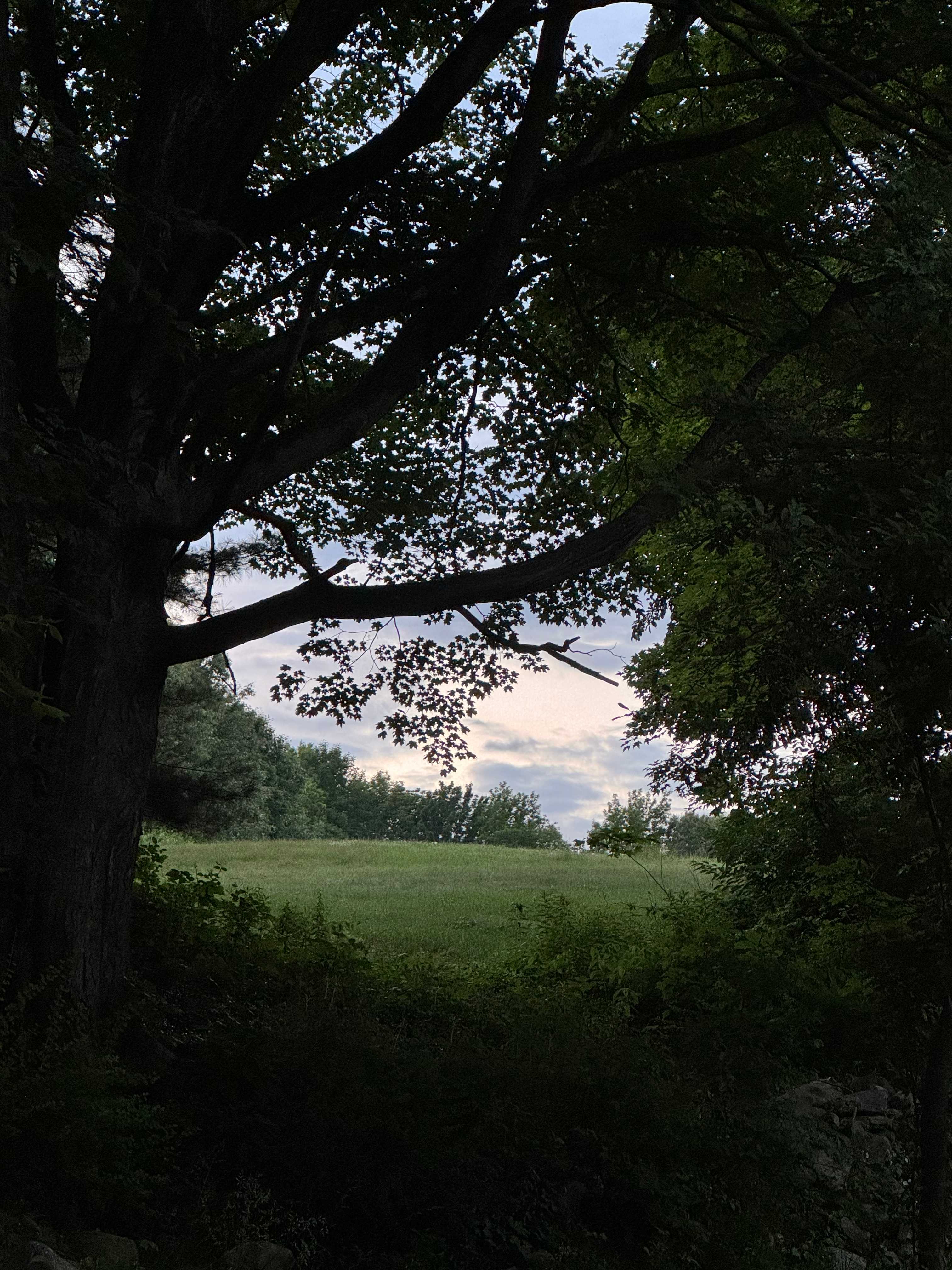 Clover Hill Farm ☘️
