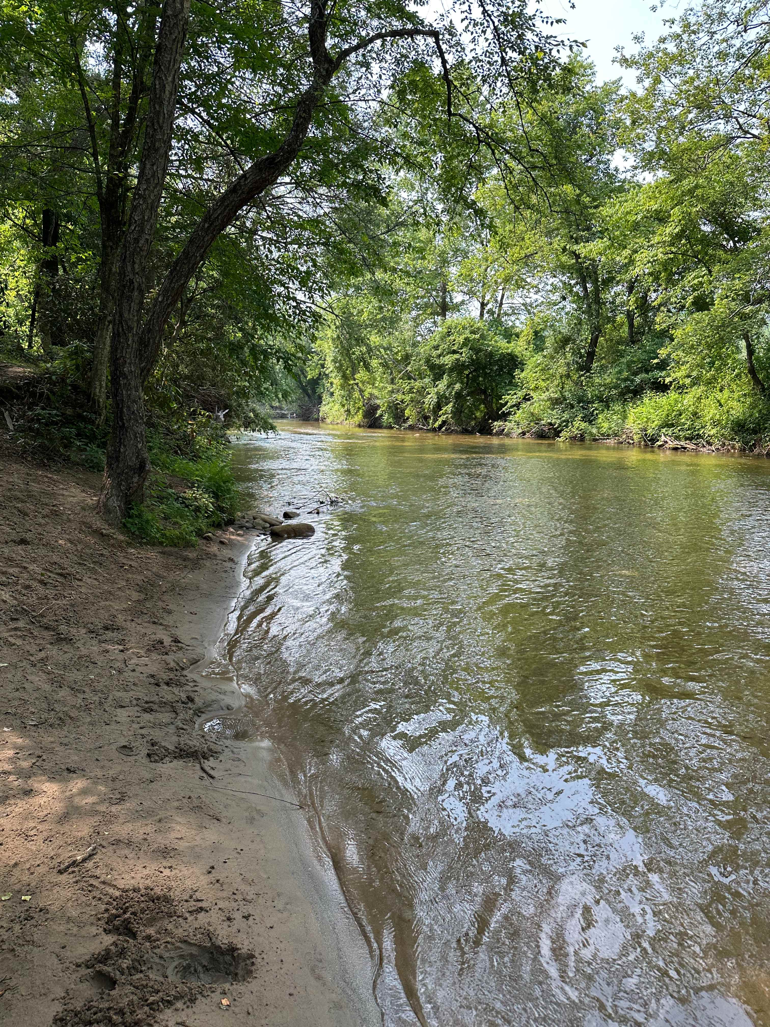 The Confluence