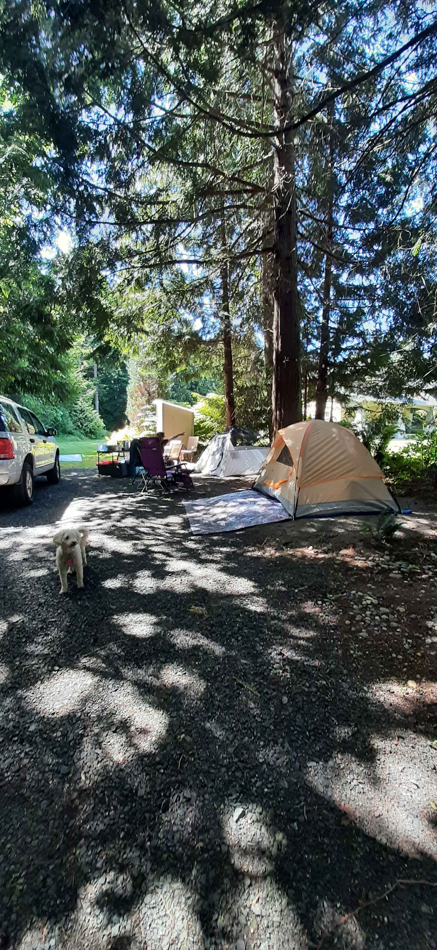 Velvaere Nordic Spa Campsite