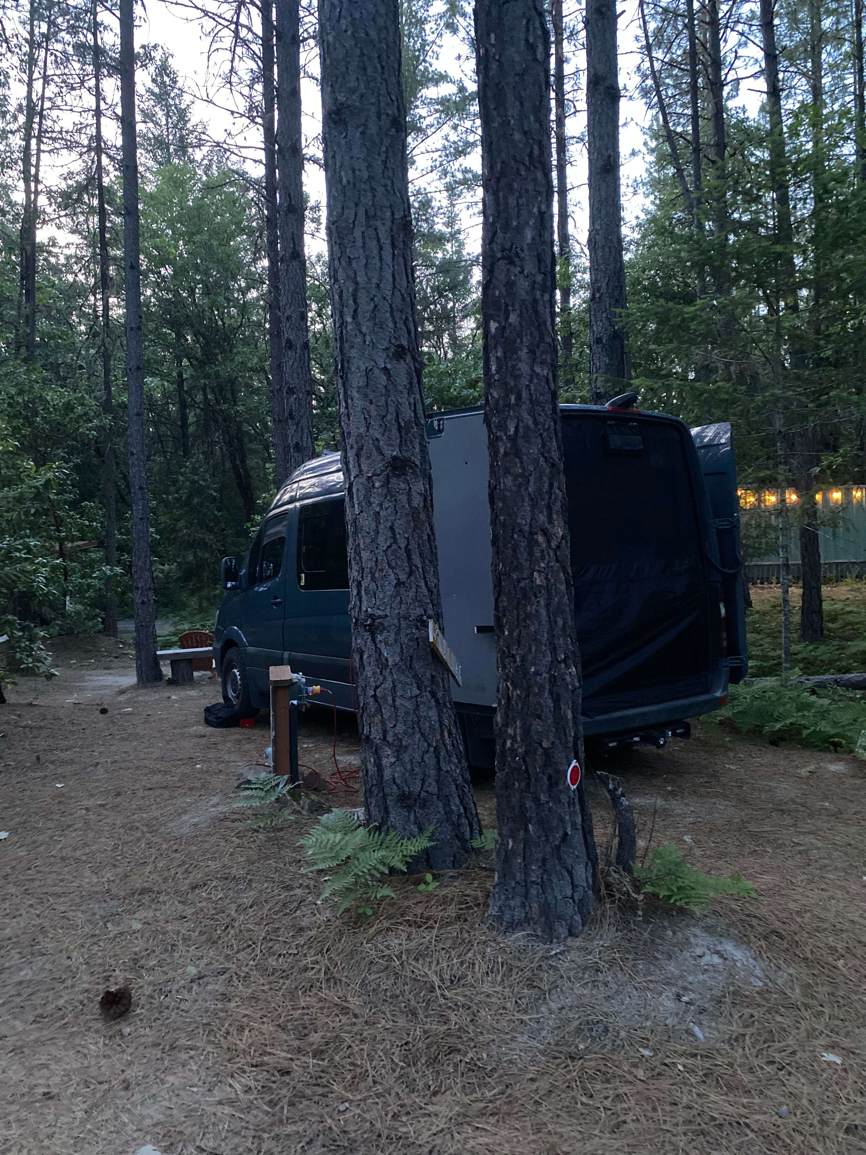 Wild Azalea Eco-Camp