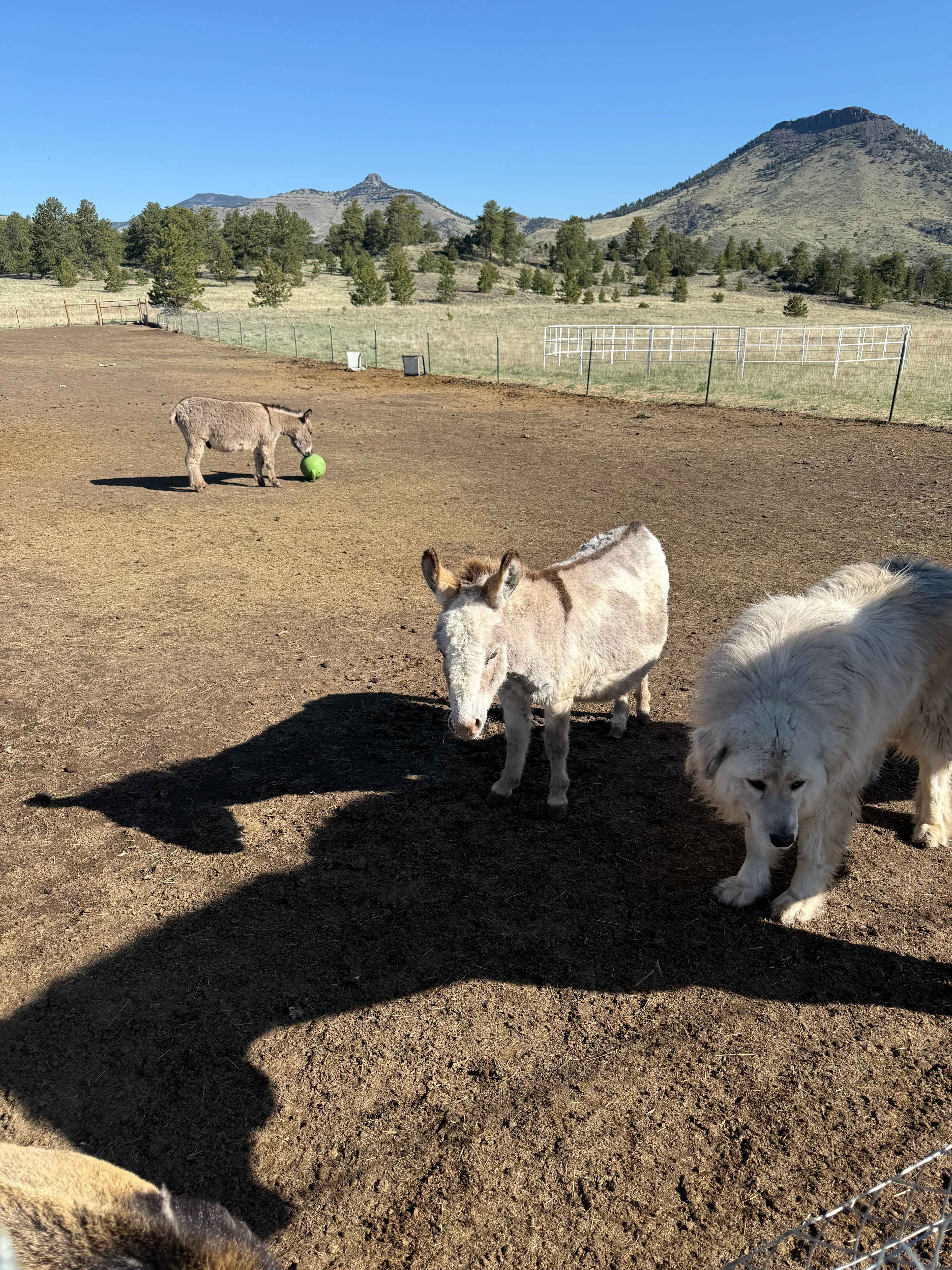 K-Bar Ranch