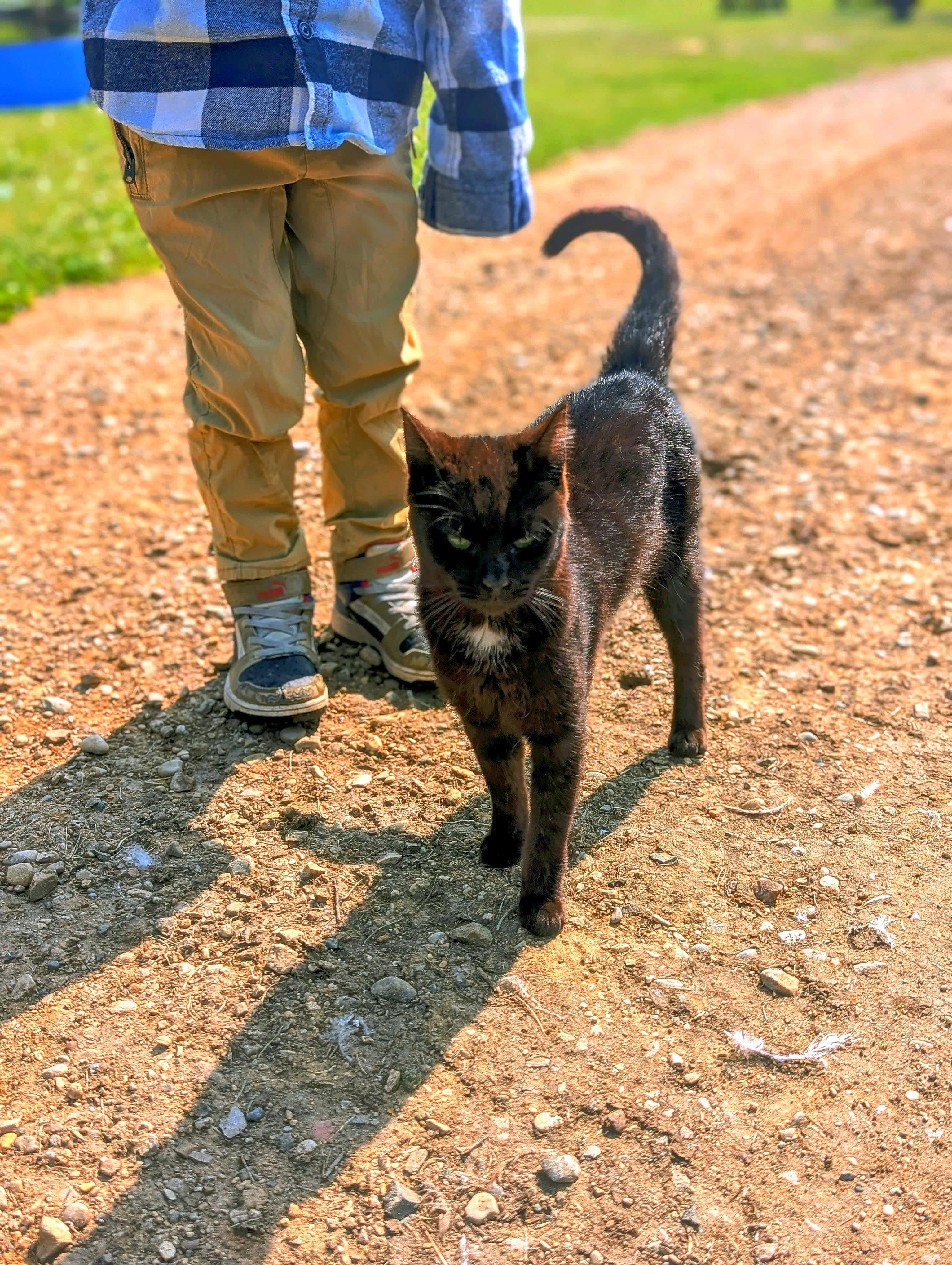Our favorite little feline buddy.
