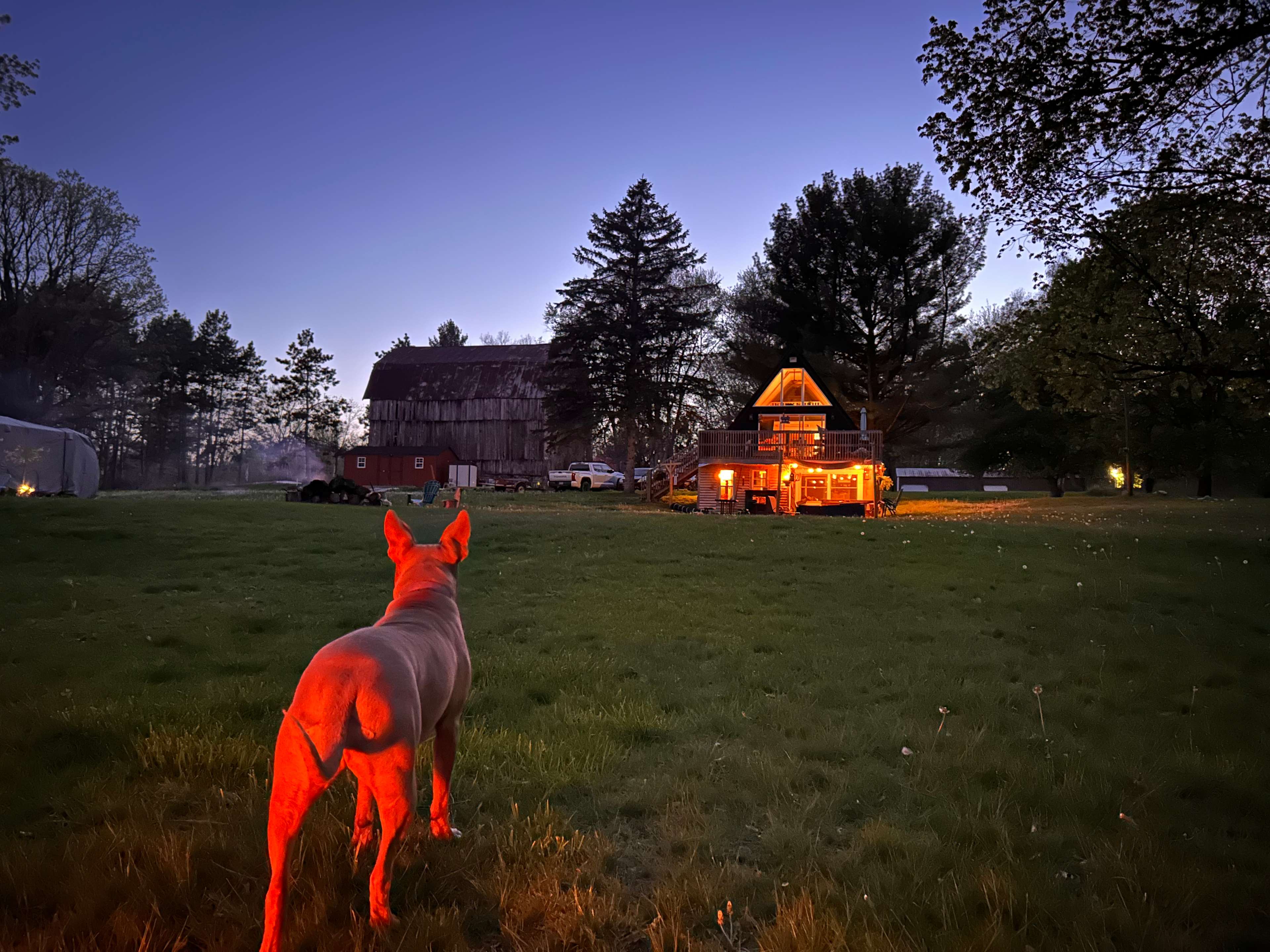 The Farm