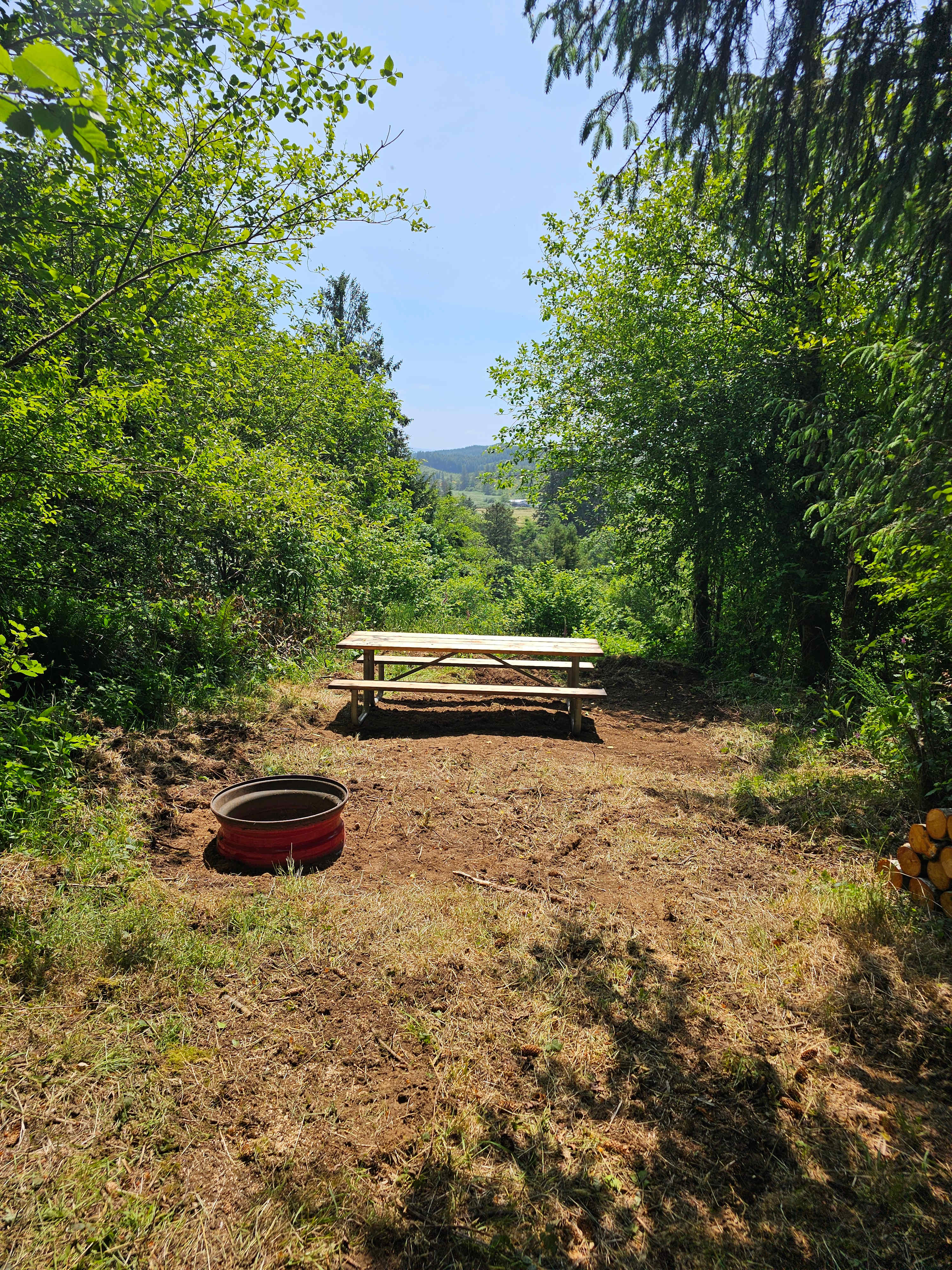 Picture of the site