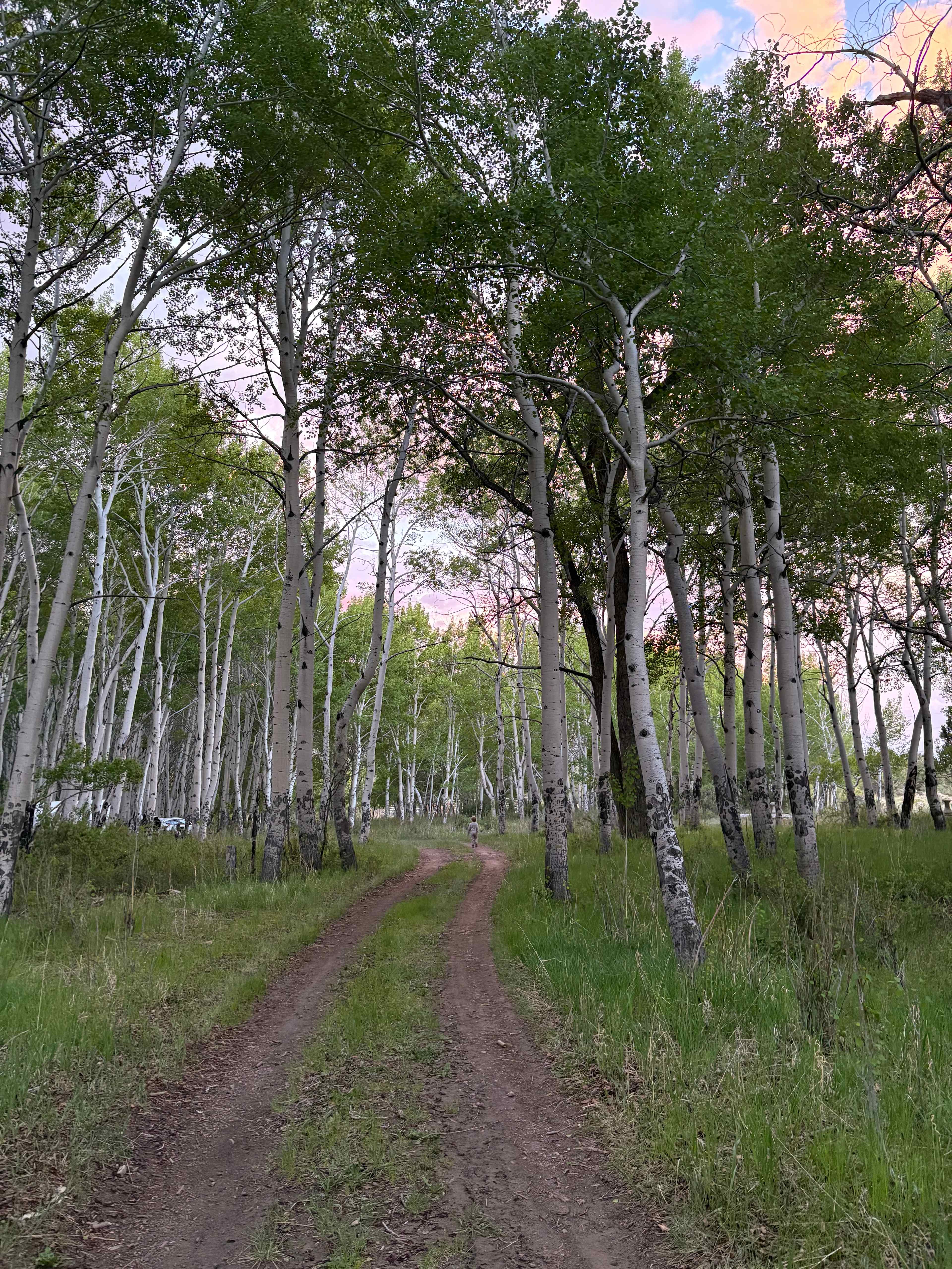 Frenchman's Creek Ranch