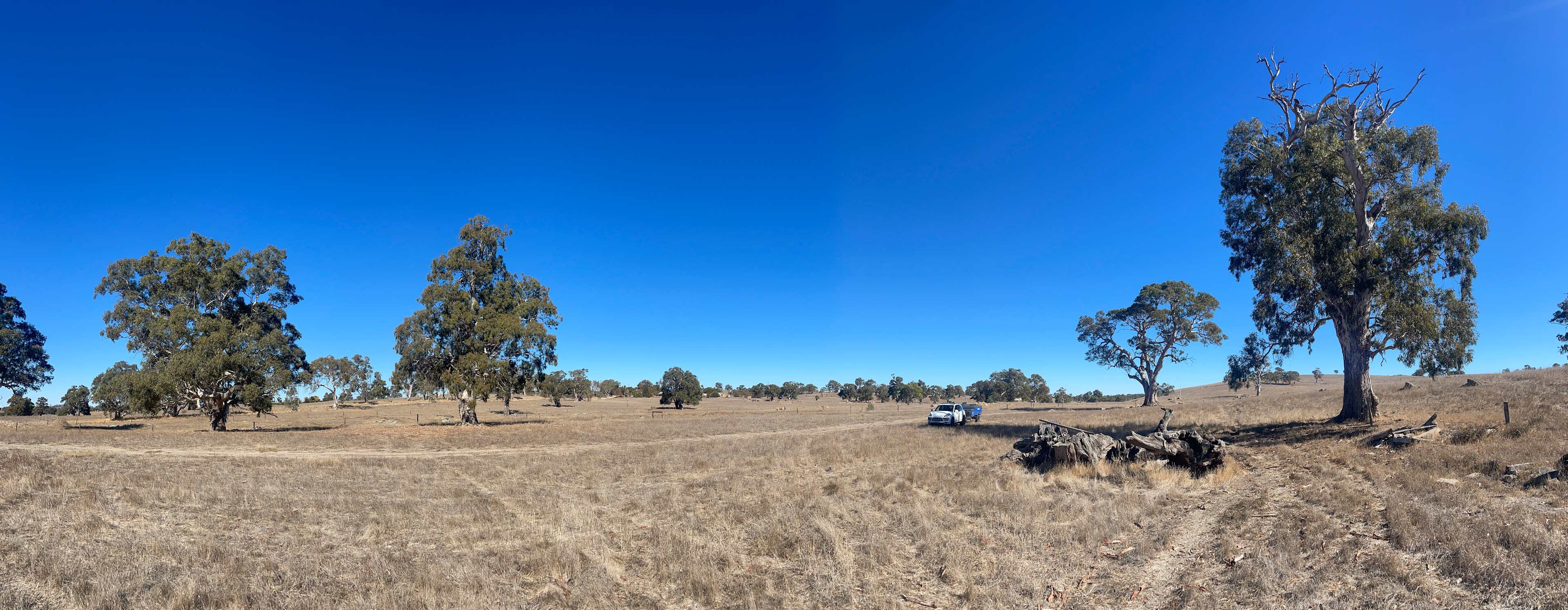 The Valley of Eden - Barossa