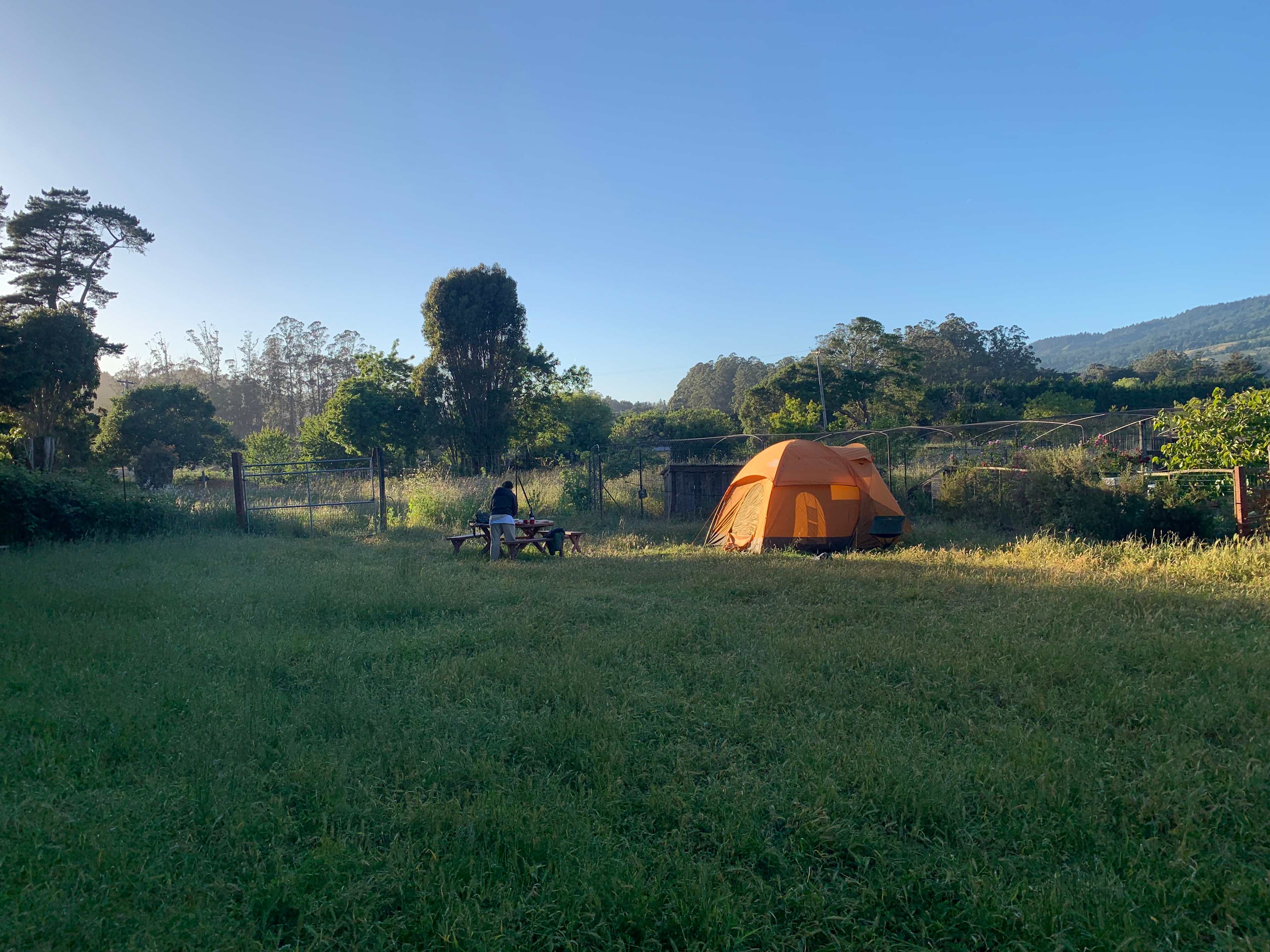 Blackberry Farm