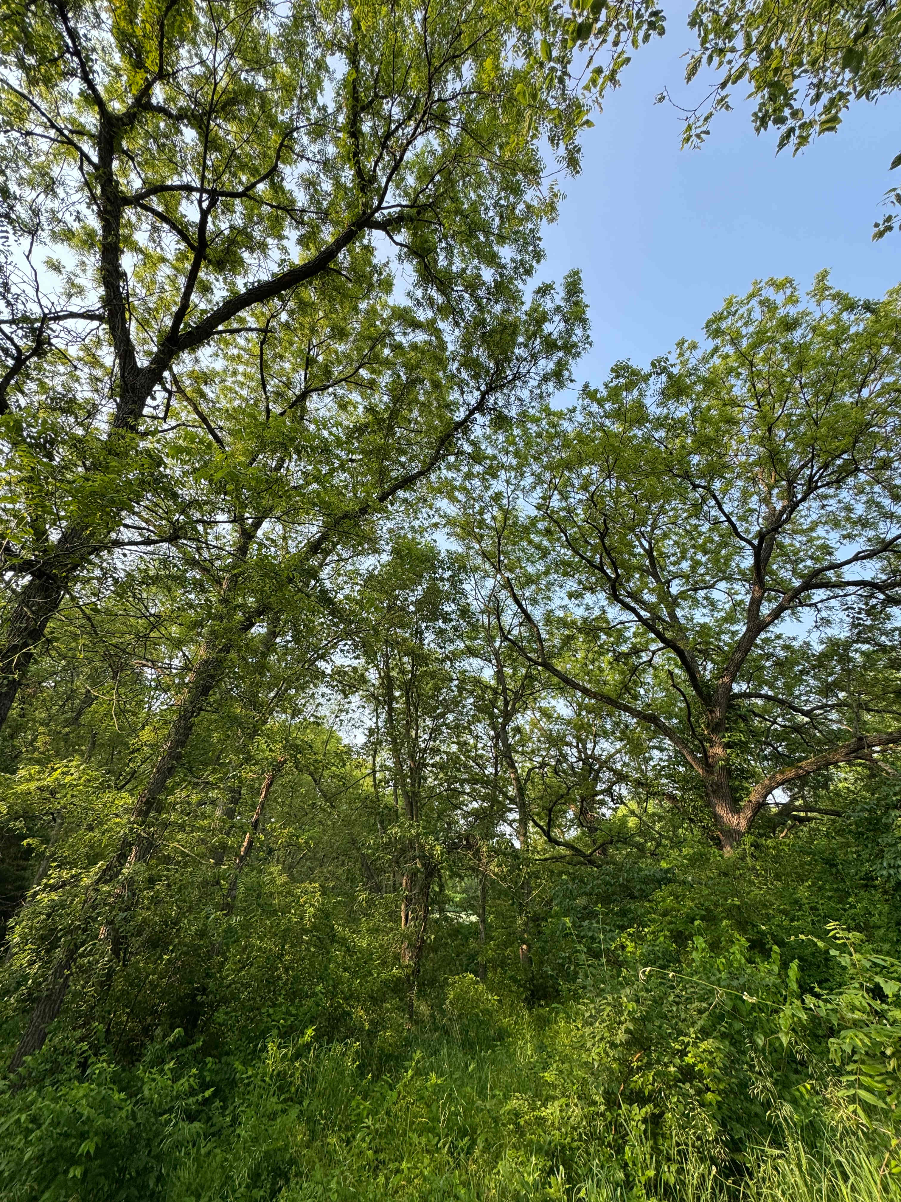 Perdue Homestead Farm