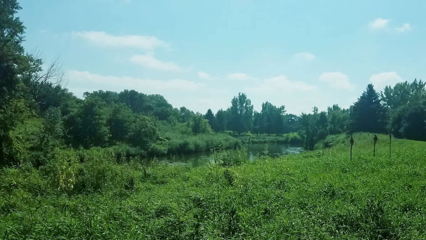 Ambush City Park