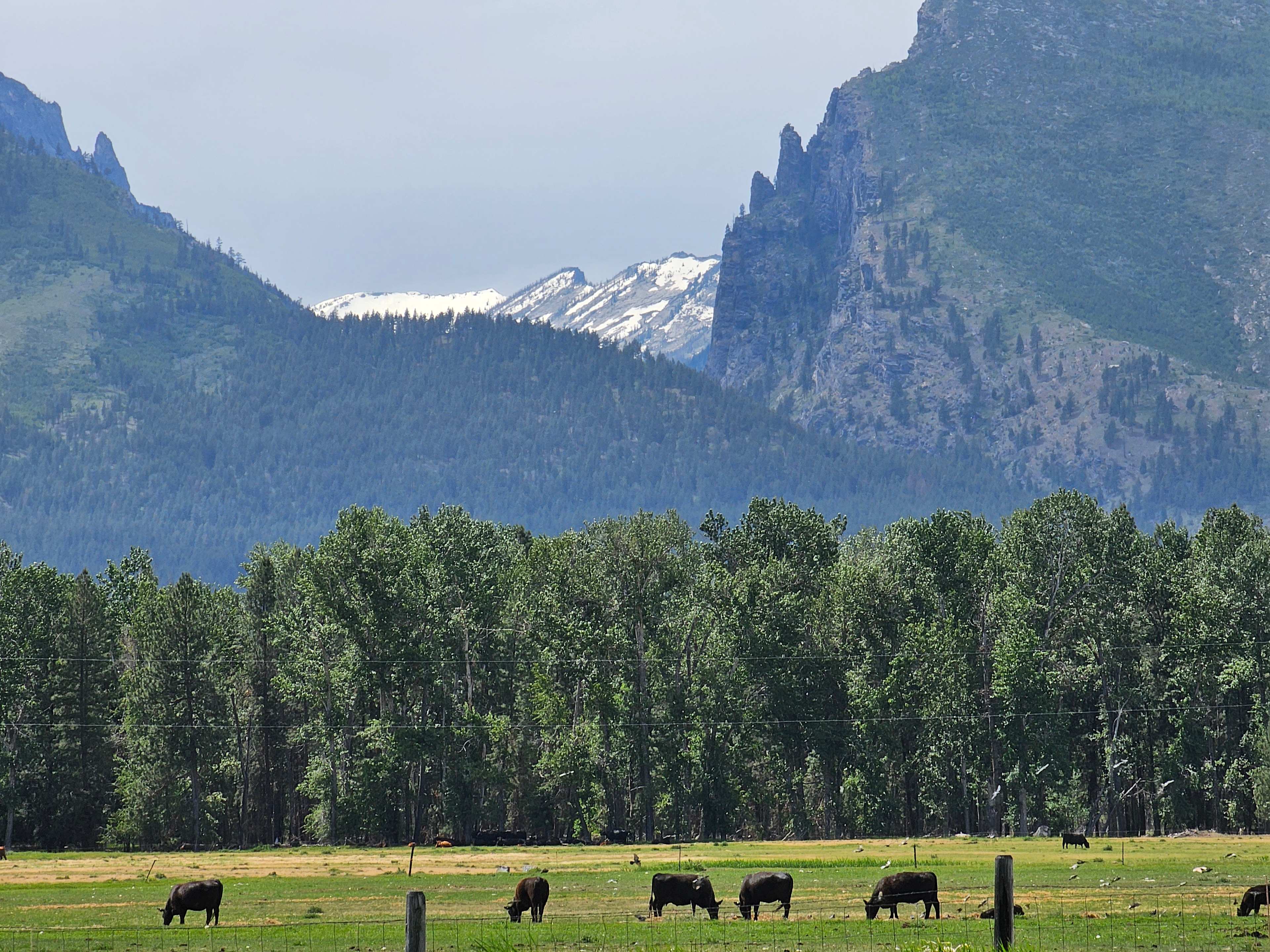 Miller Creek Canyon views