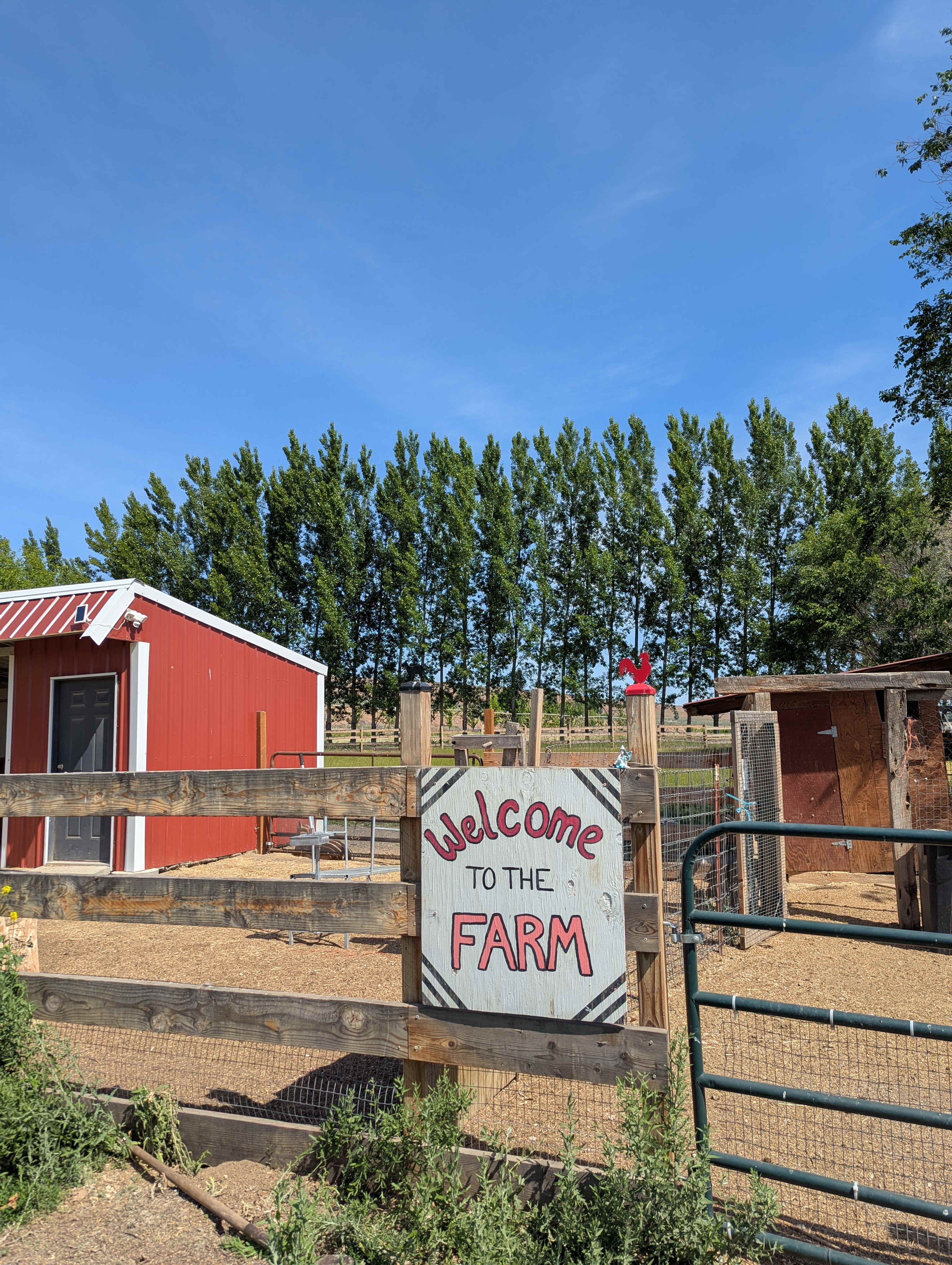 Farm area with goats and chickens