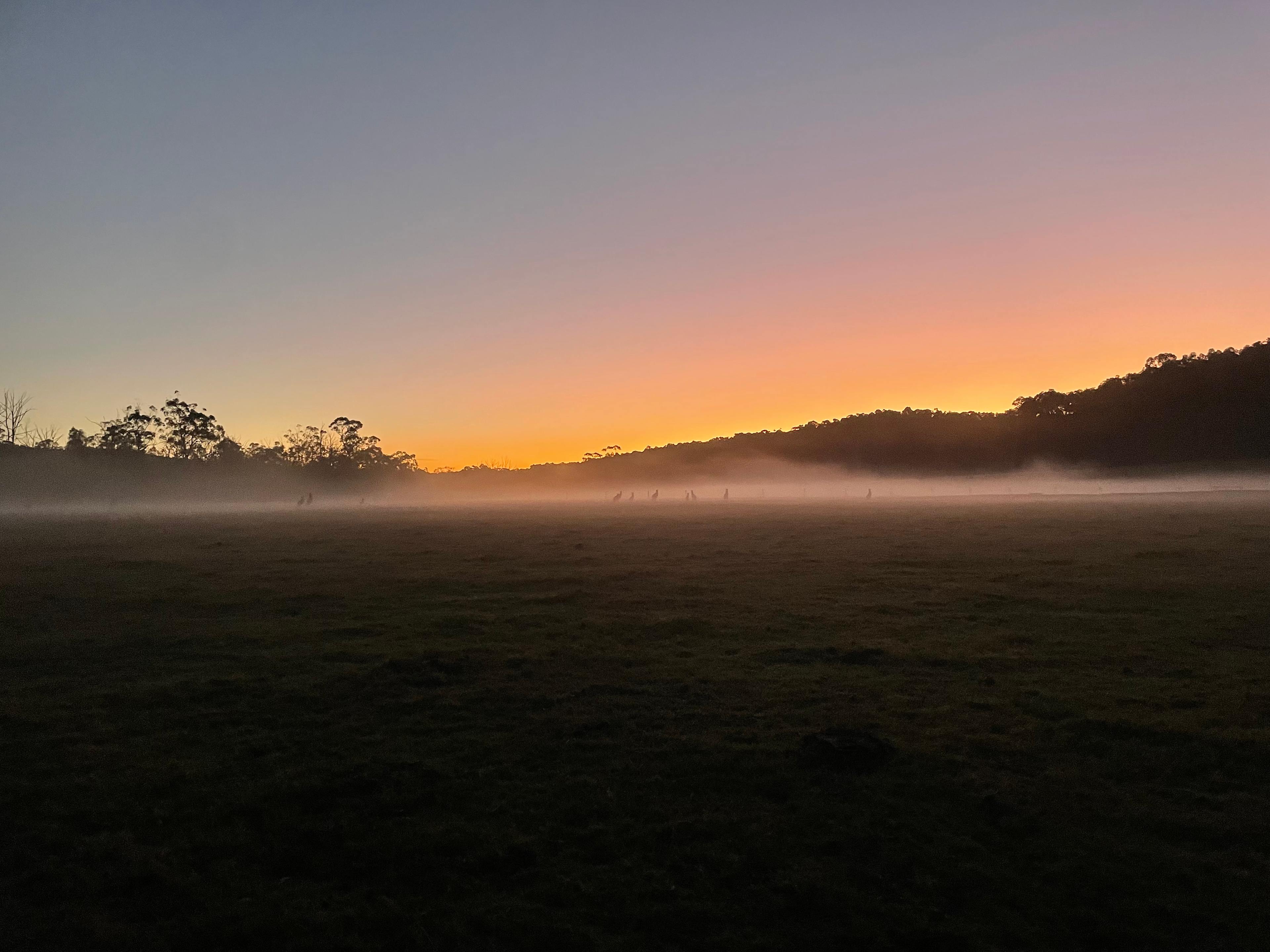 Tonimbuk Farm