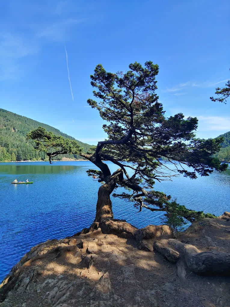 Doe Bay Resort and Retreat
