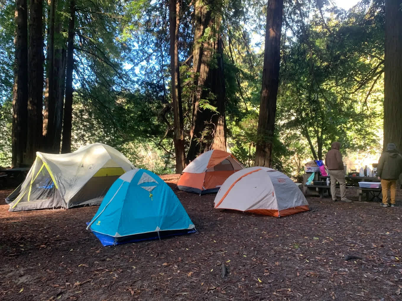 Gualala Point Regional Park