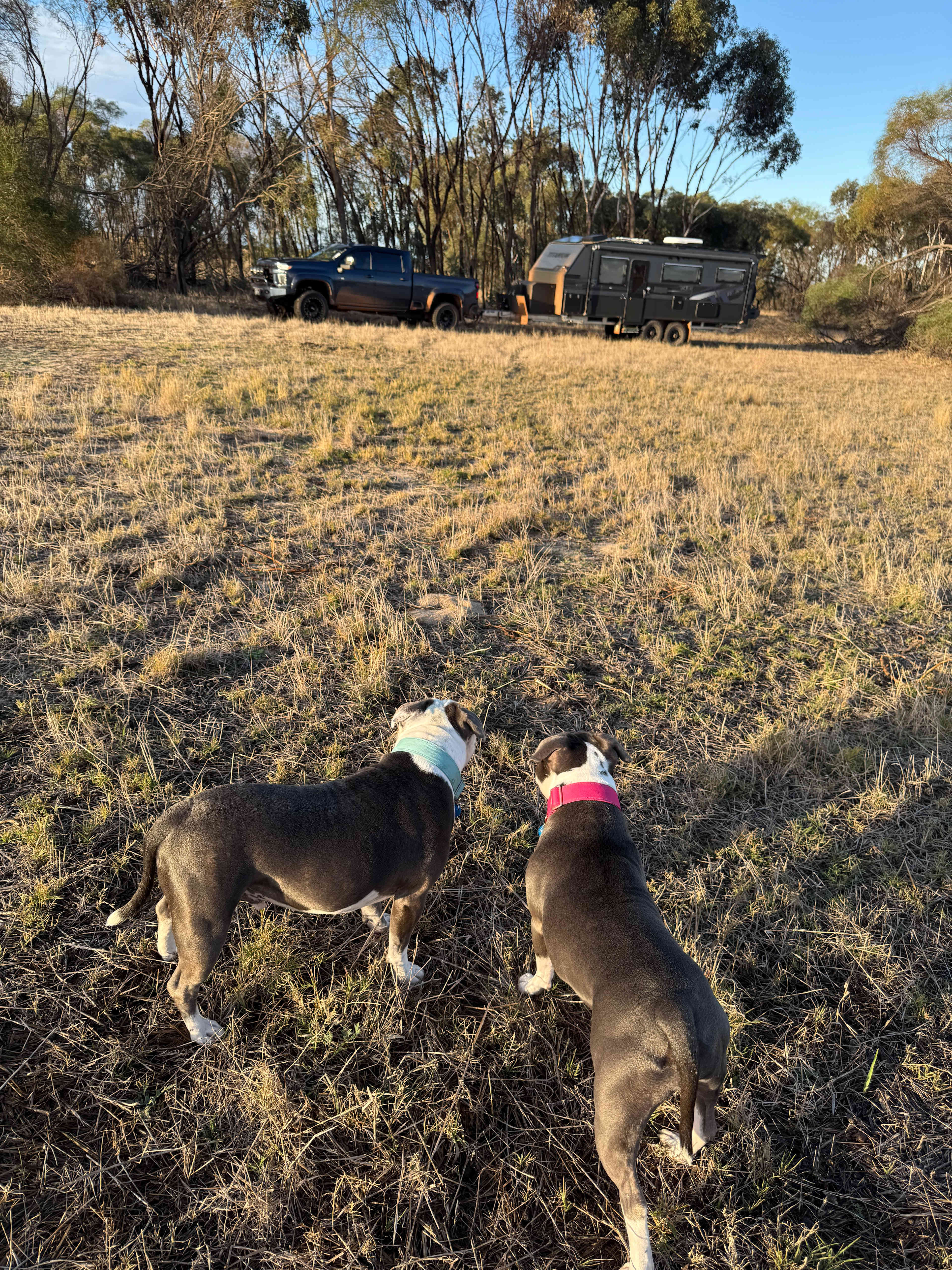 Clearview Farm