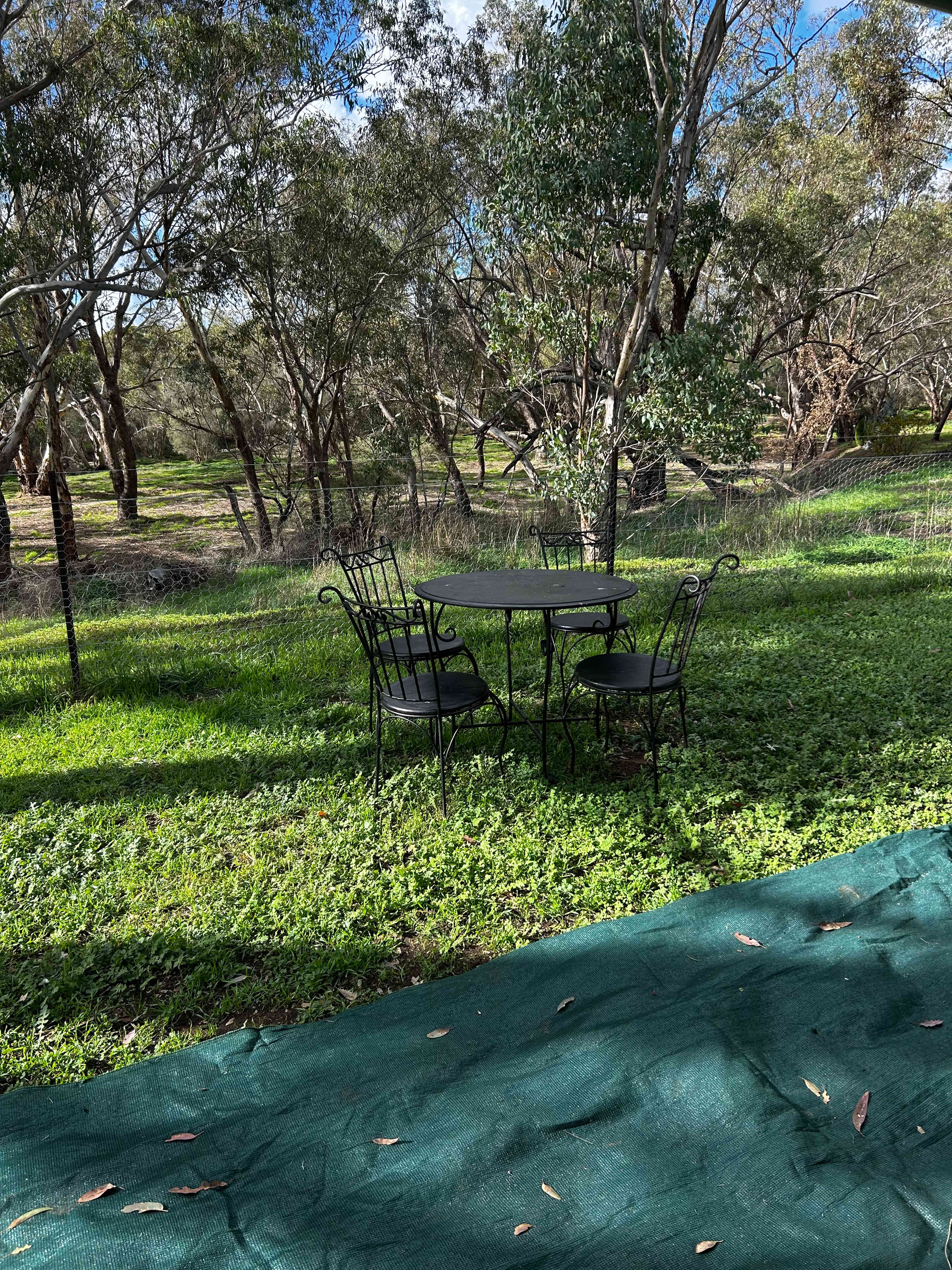 Looking at Avon River from front of van