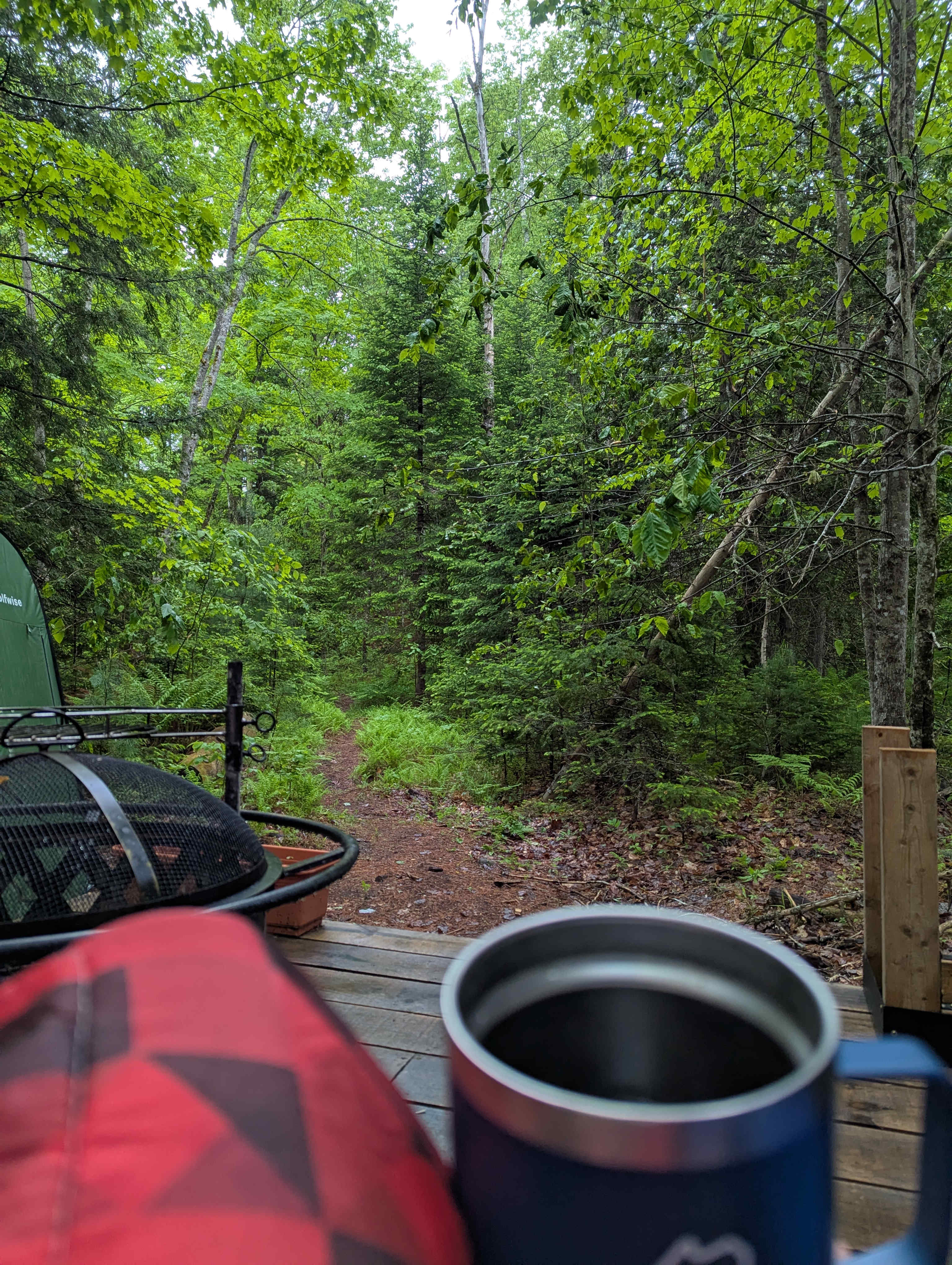 Turtle Marsh- secluded wooded site.