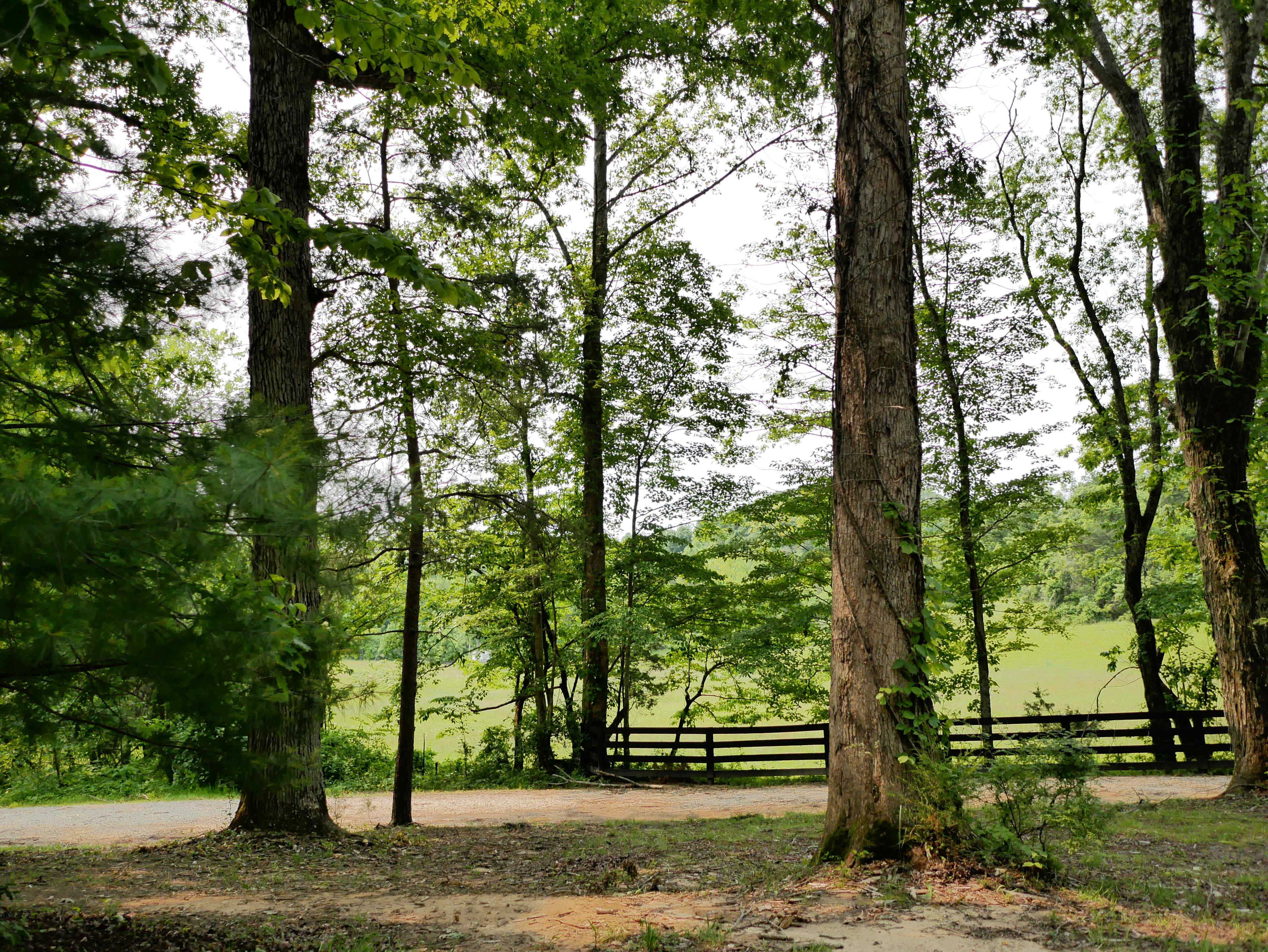 The Retreat at High Rock