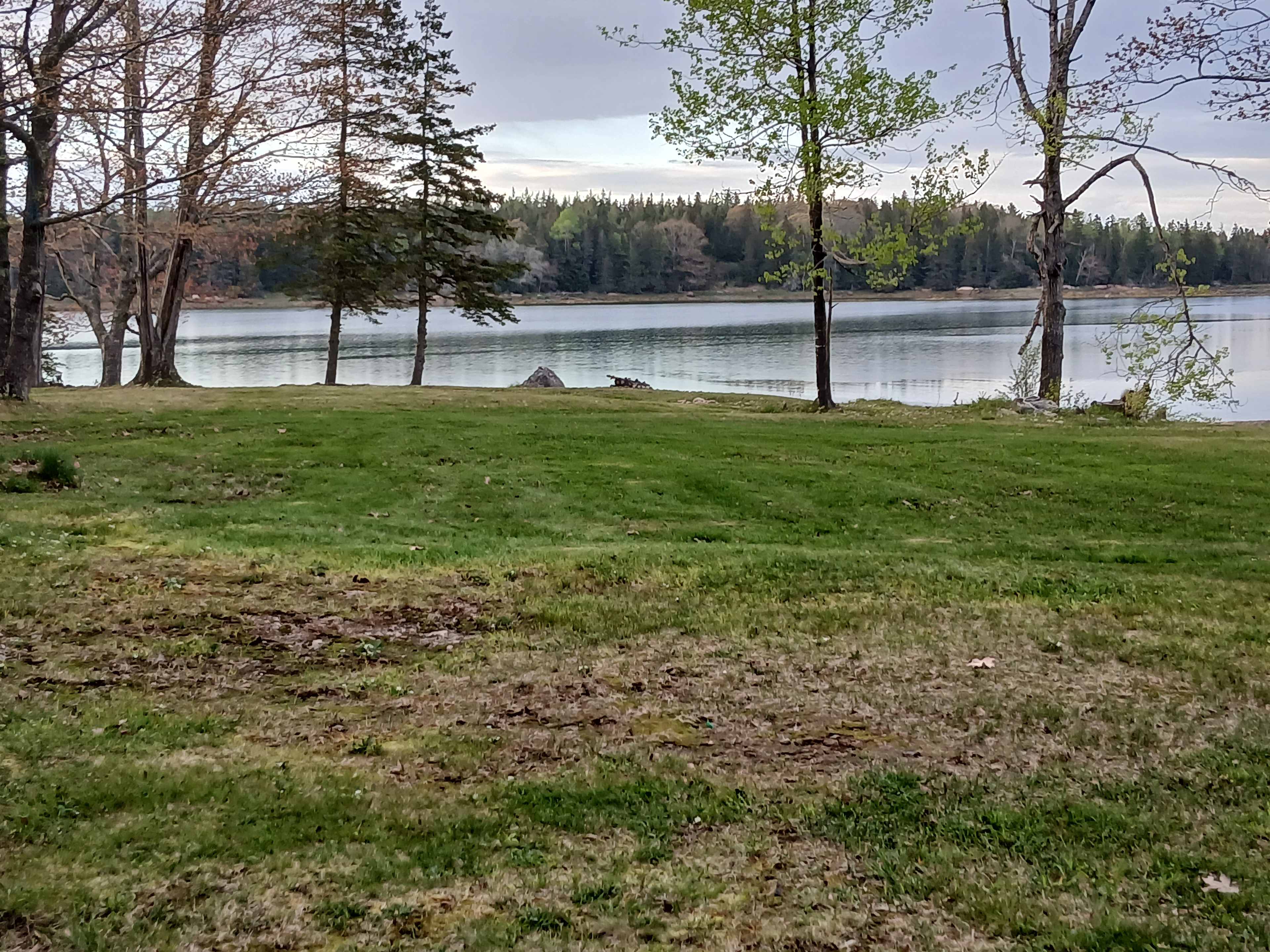 Moreyville Camp Ground