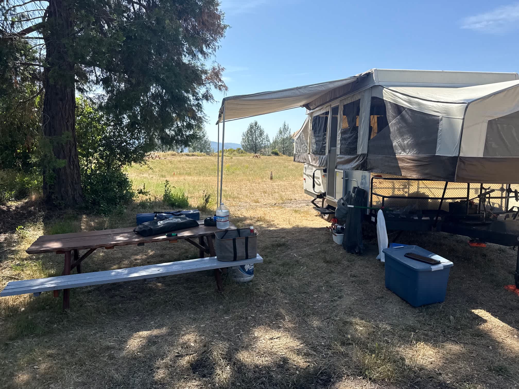 Site 1 had lovely mid day shade