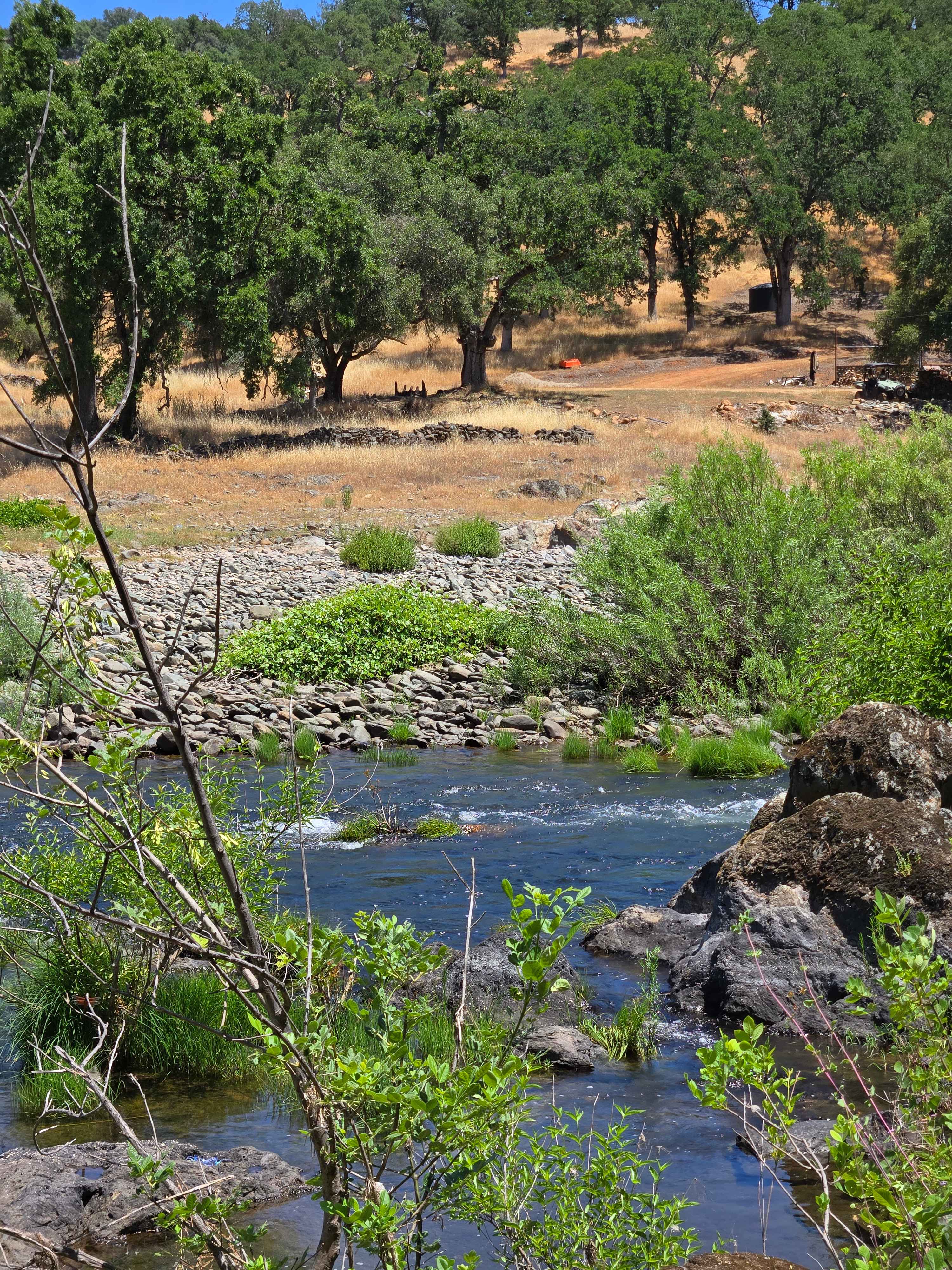 Cosumnes River Ranch