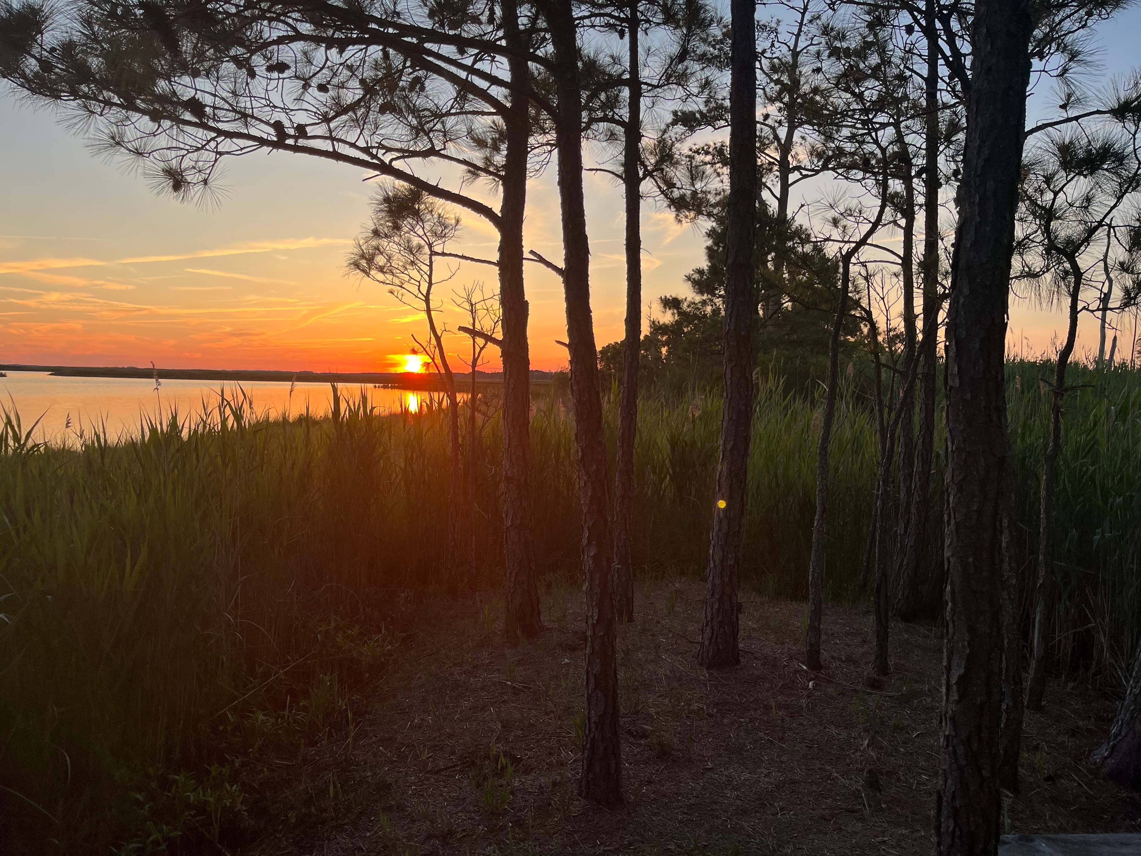Sunset 2