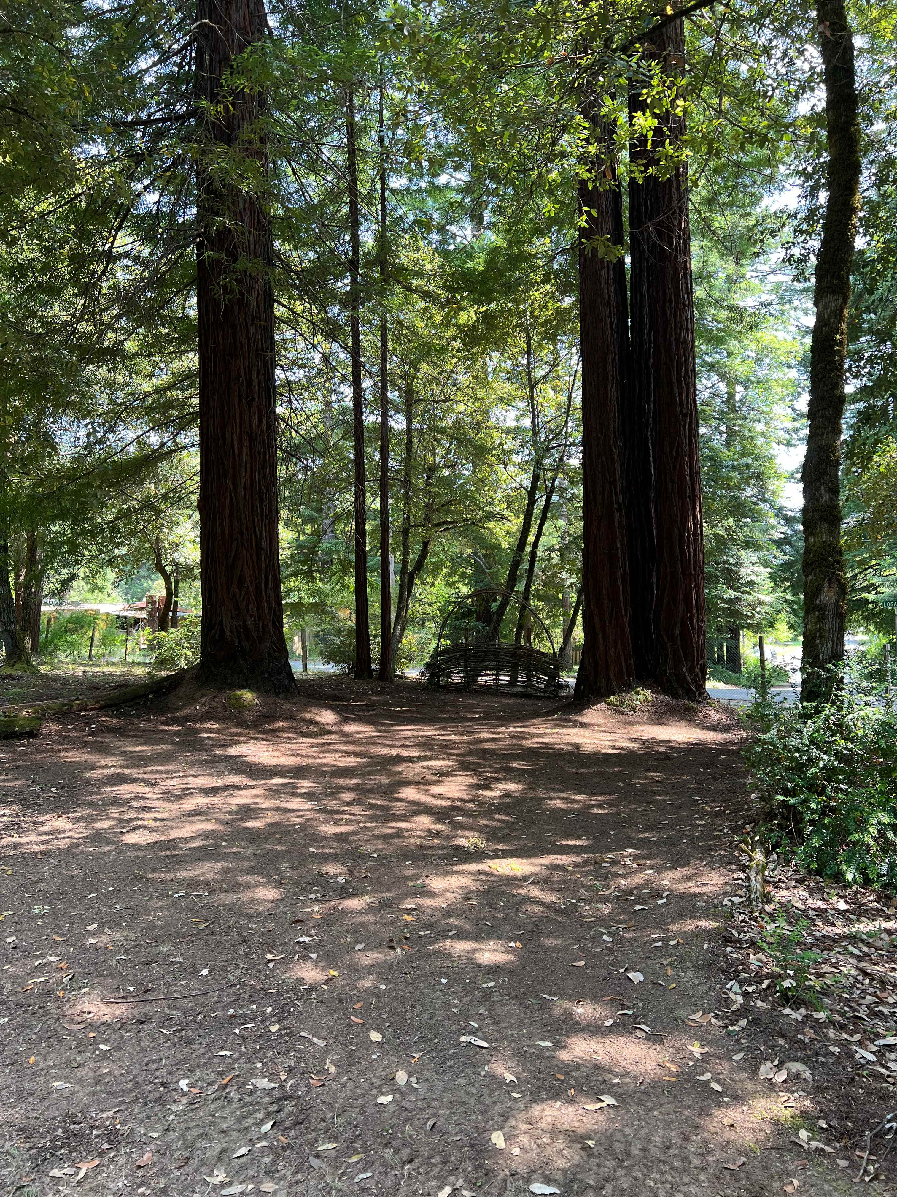 Site 1