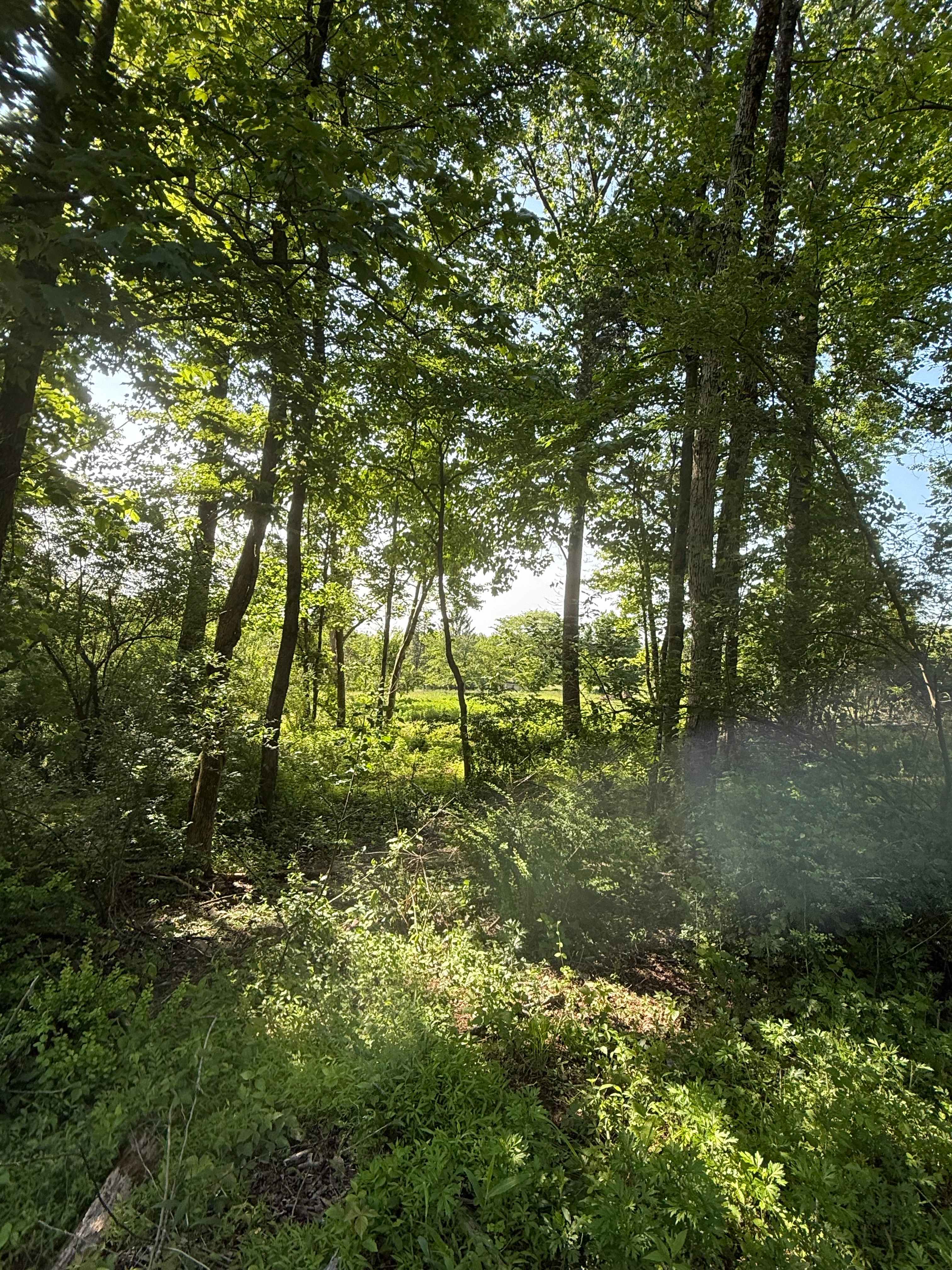 Wildflower Farm