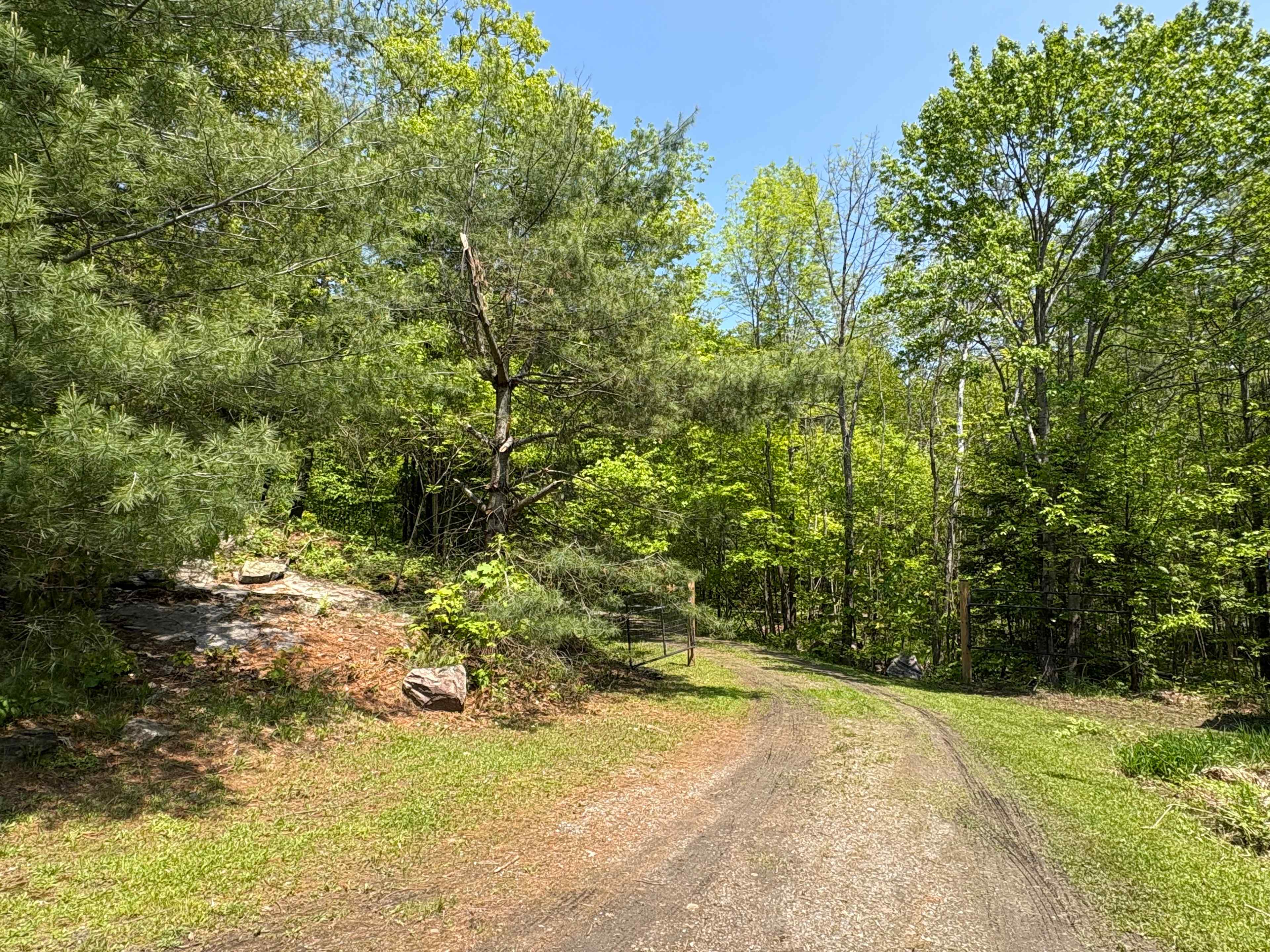 This is the view as you exit out the private driveway. 