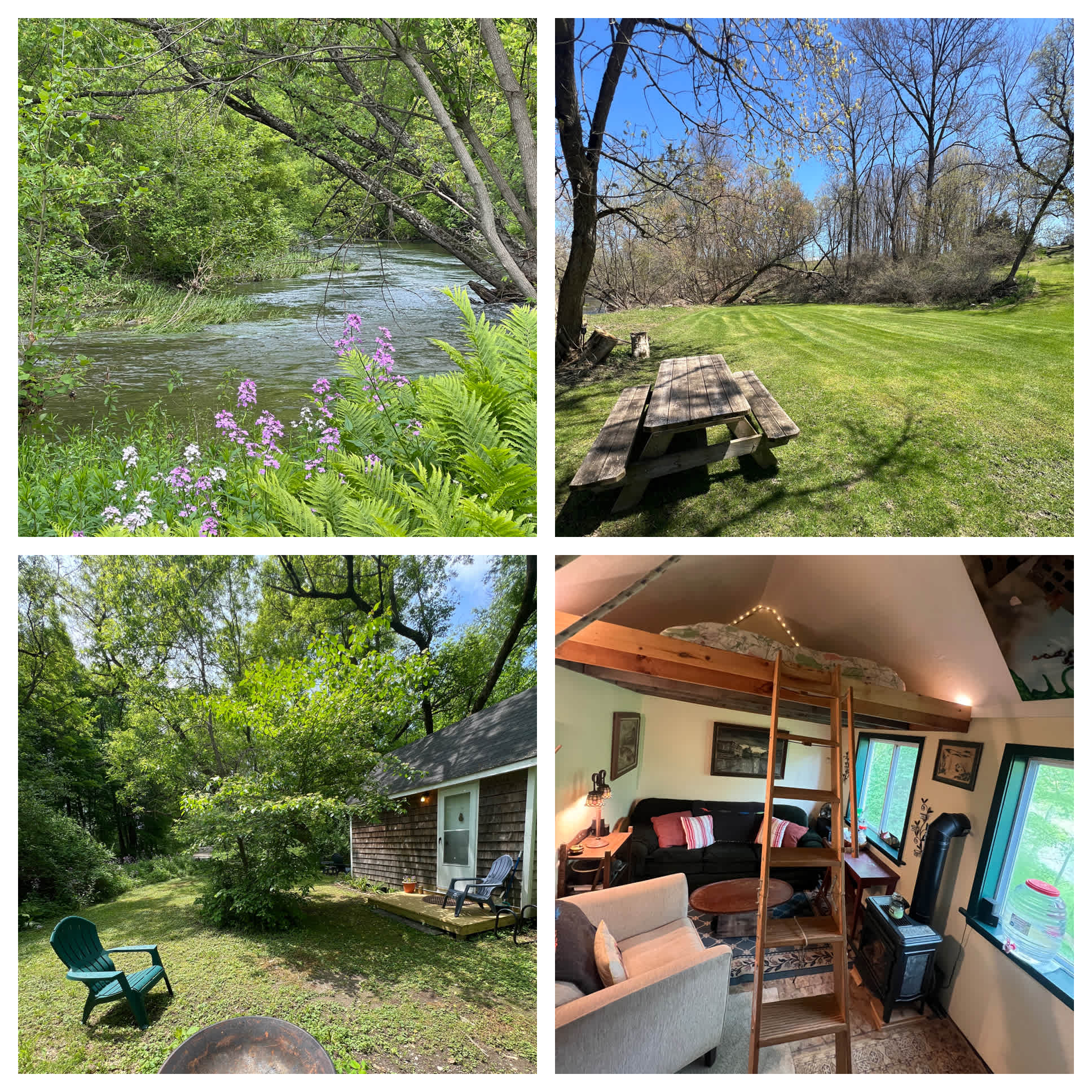 Riverside Retreat and Tiny Cabin