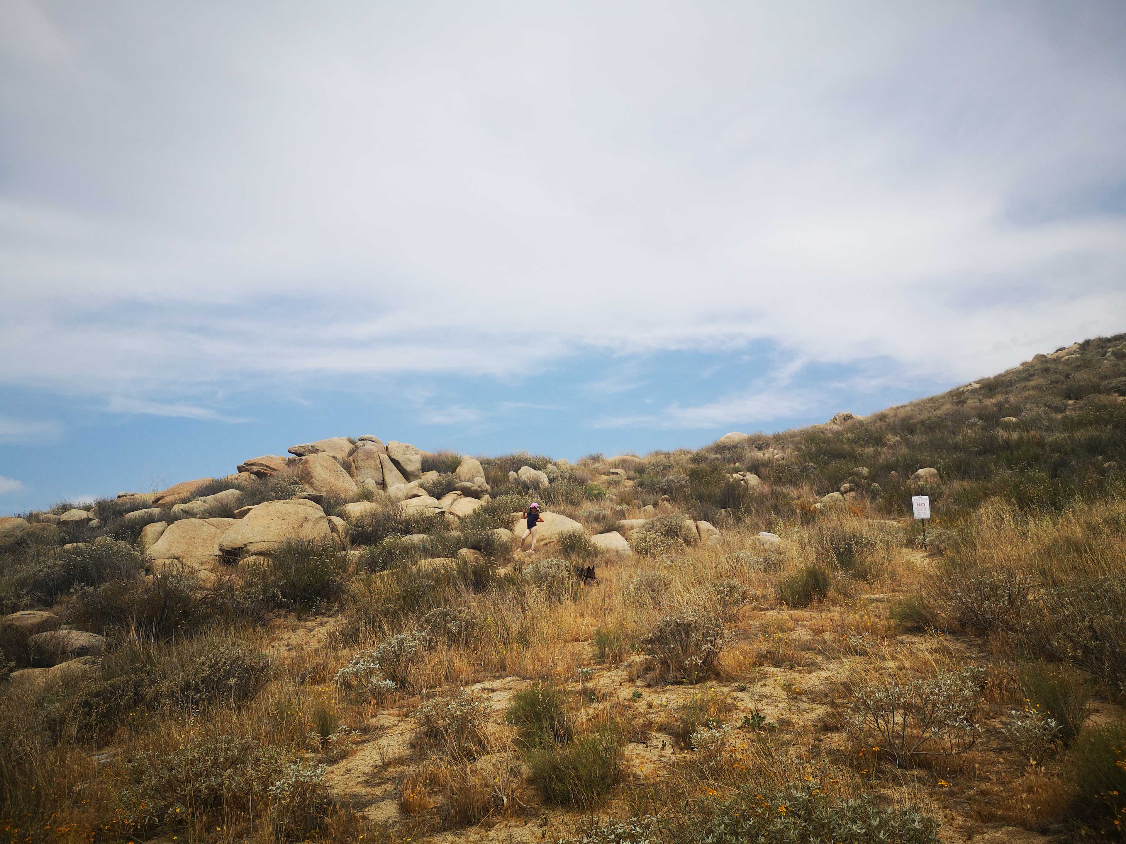 Desert Dreamland
