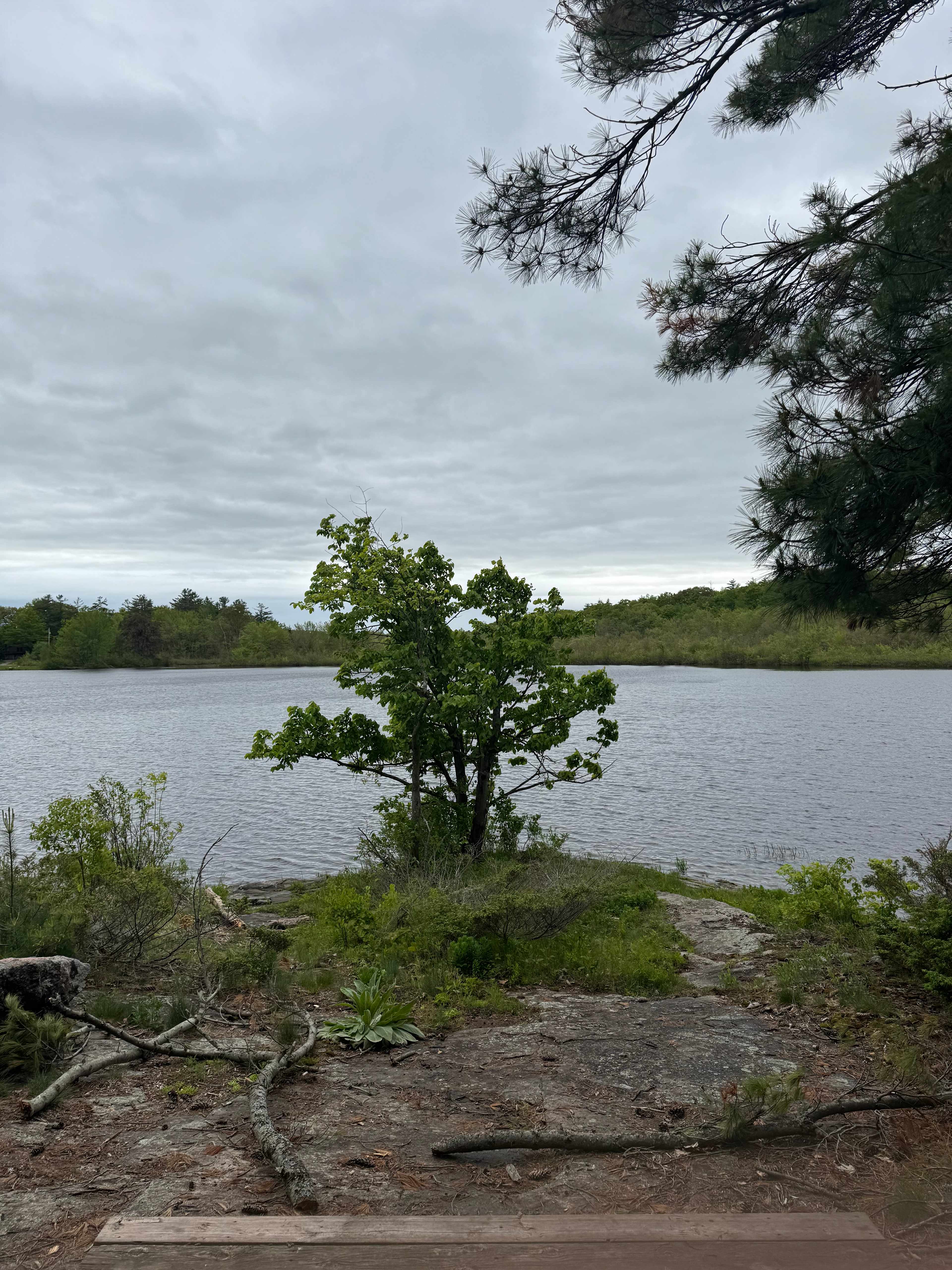 Sparrow Lake Camp