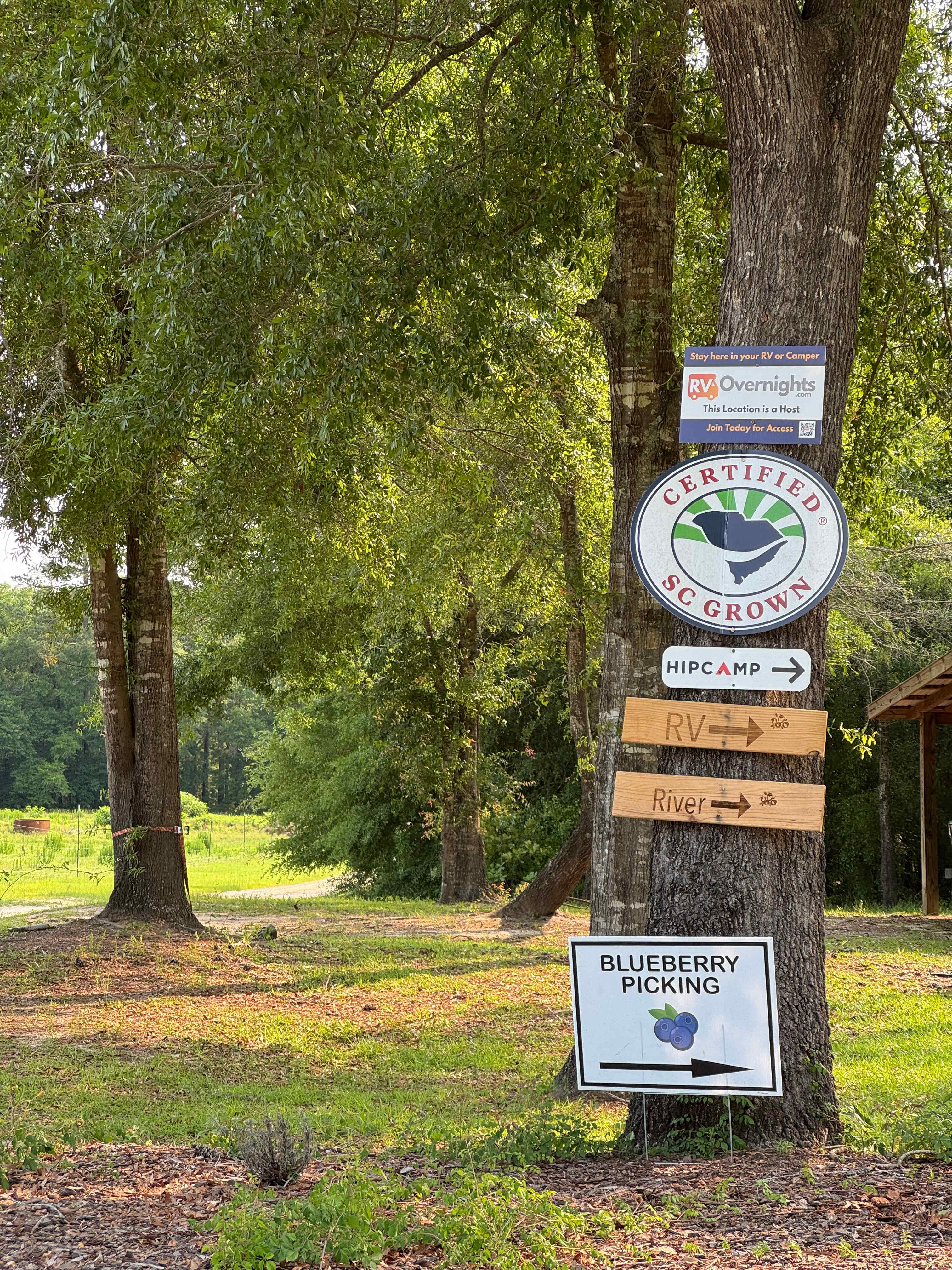 Black Pearl Farms