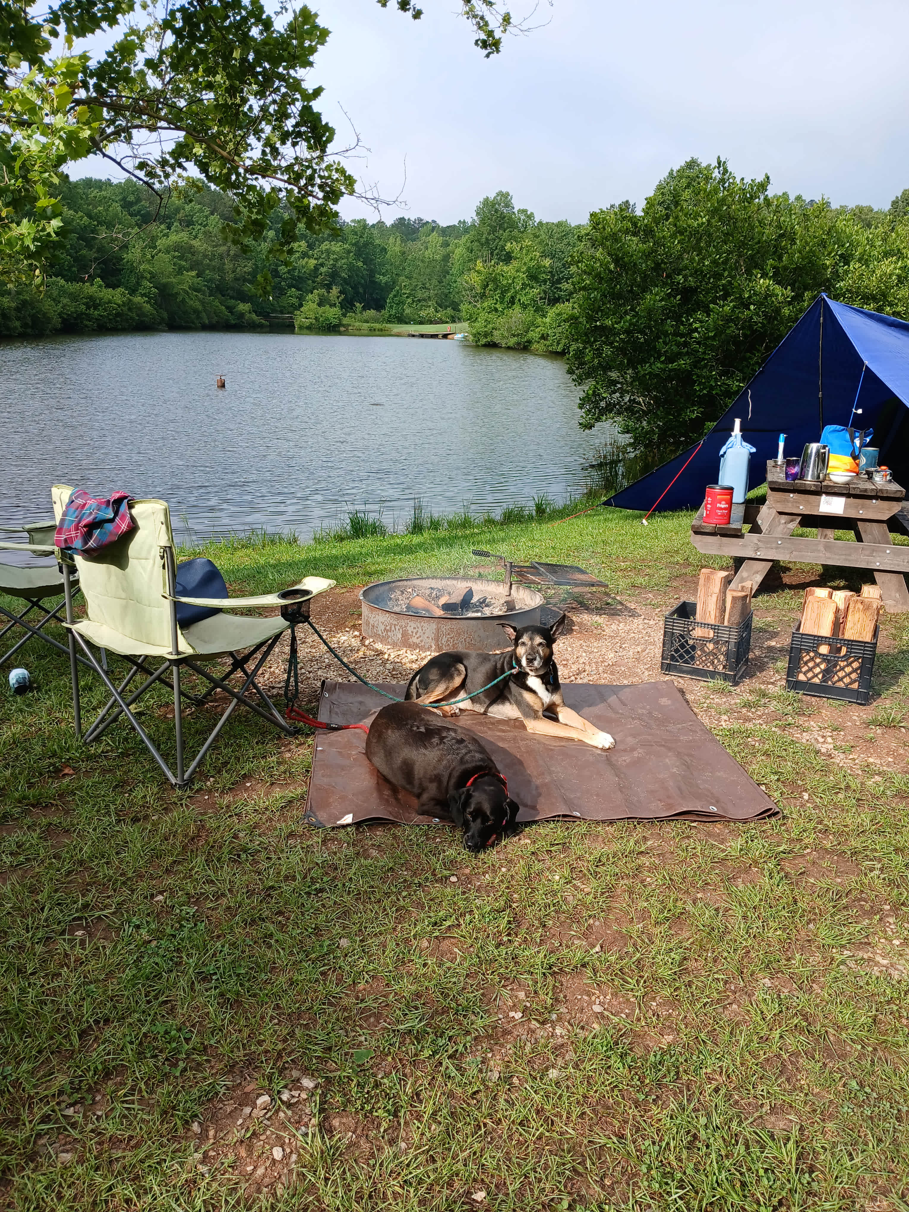Bohamia - Glamp/RV/Camp