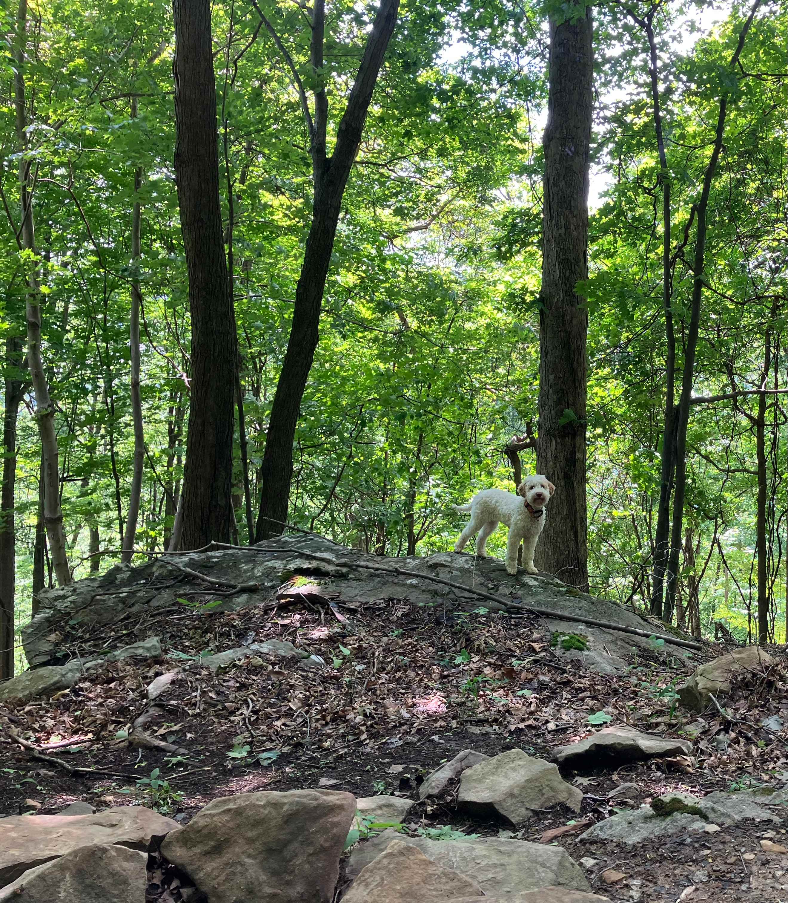 Barnum Cliffs Campground