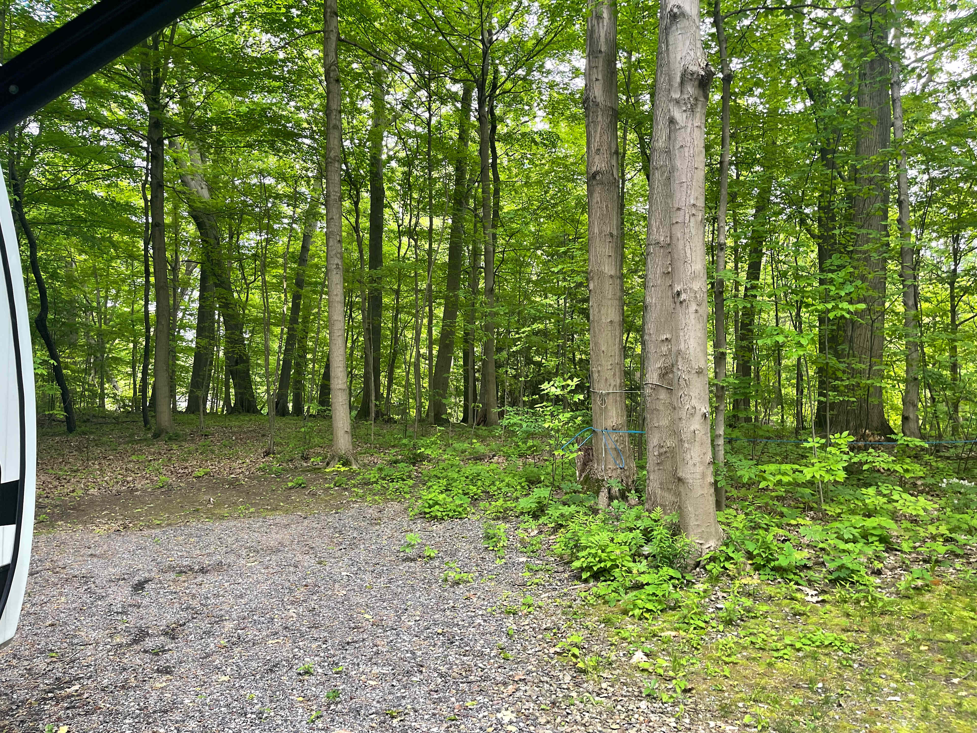 Steelhead Run Recreation Area