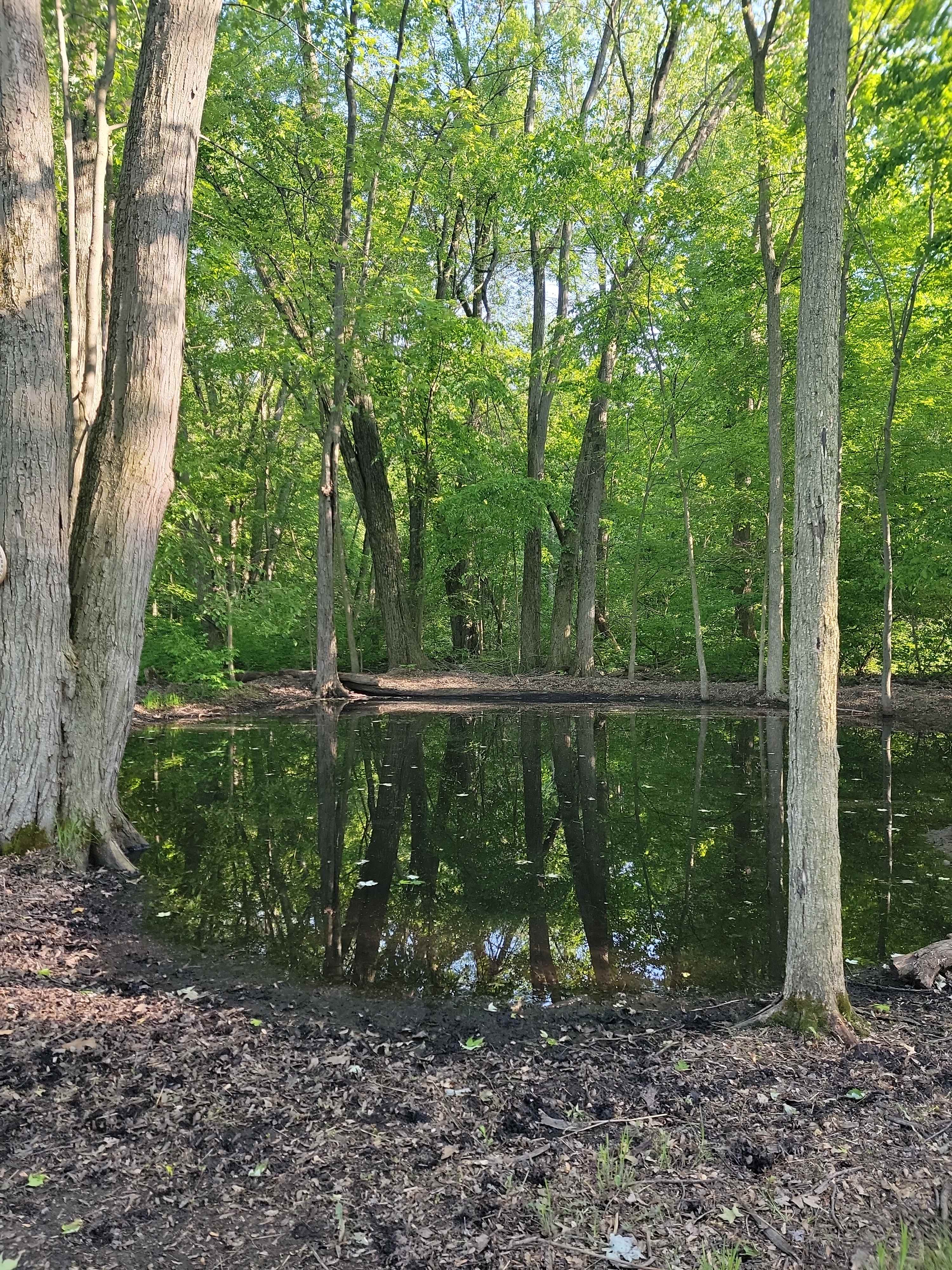 Breathe in Silence & Serenity